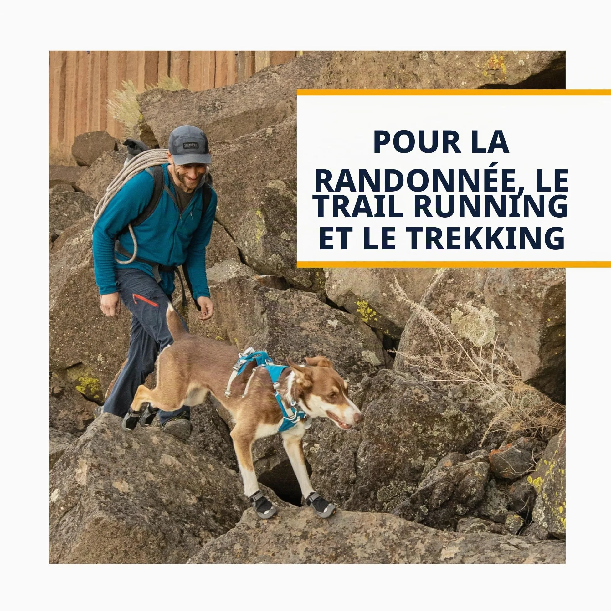 Grip Trex - Chaussures pour Chien