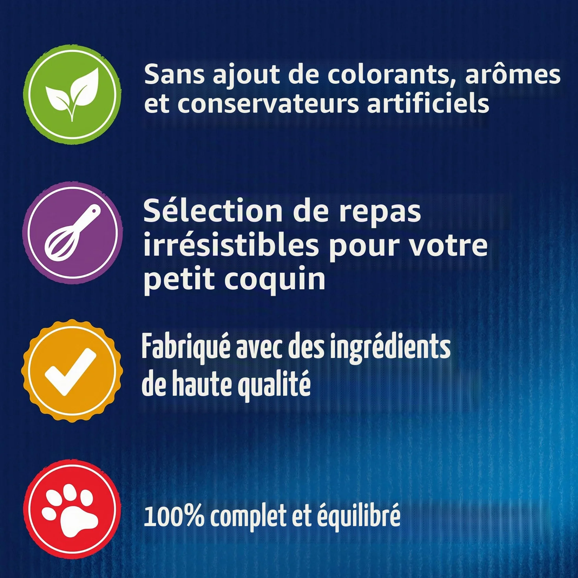 Felix Aussi Bon qu'il en a l'air Nourriture Humide pour Chat Variété mélangée en gelée 44 x 85 g