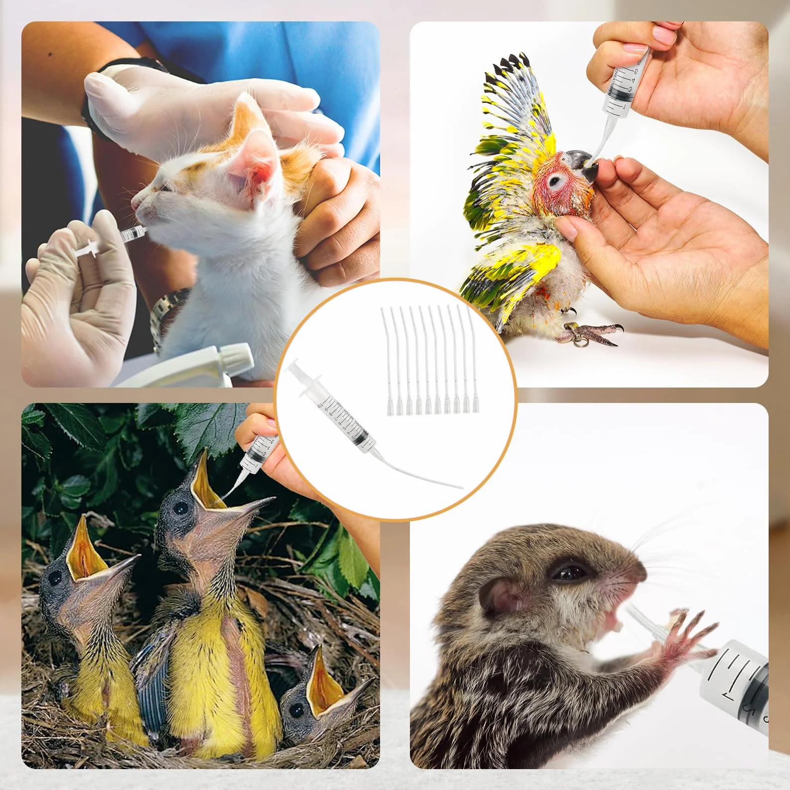 Seringue Alimentaire sans Aiguille Kit Nourrissage Oiseaux 10 Tubes Silicone Médical Graduation Réutilisable