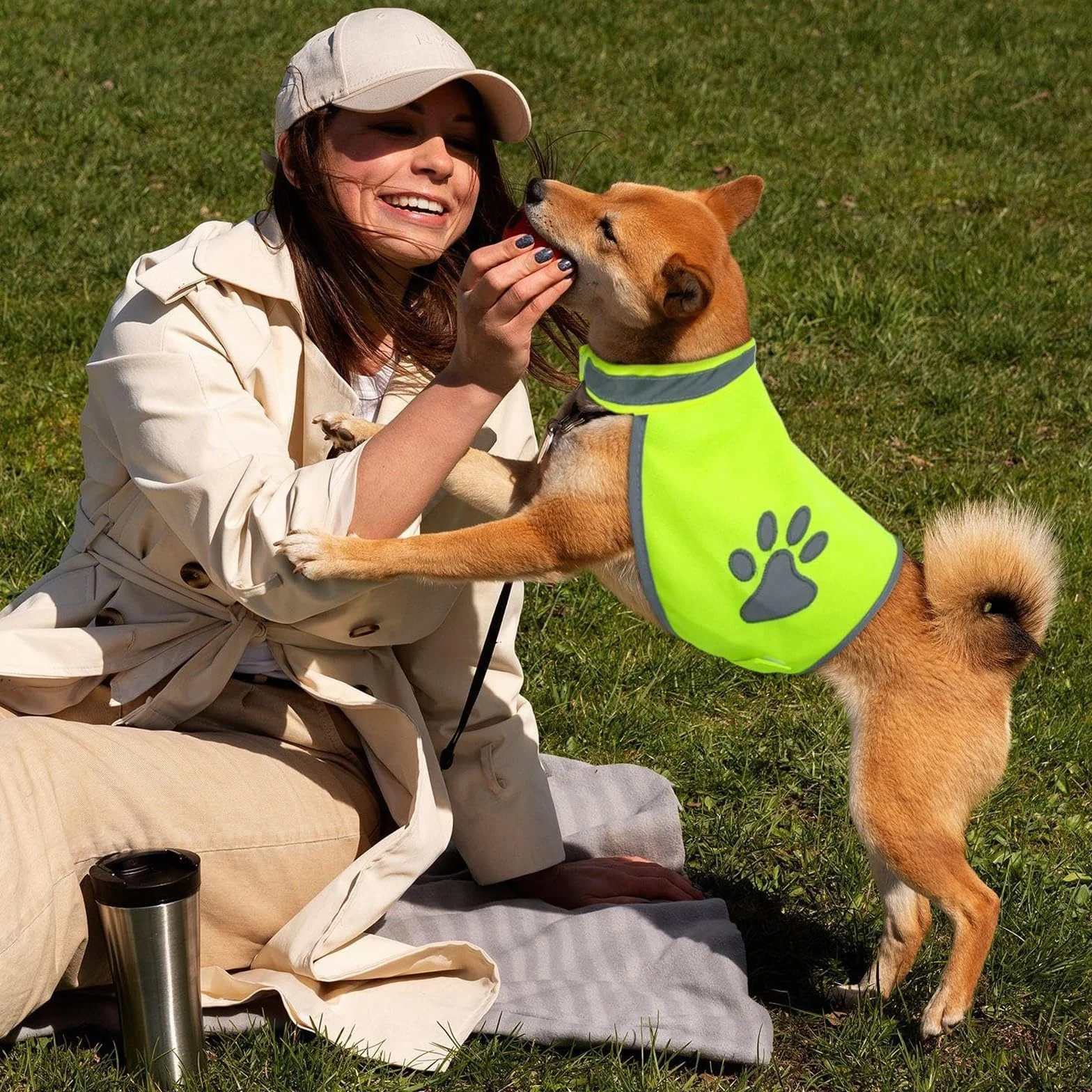 Gilet Jaune Bandes Réfléchissantes Chien Conception Réglable pour Promenades Nocturnes