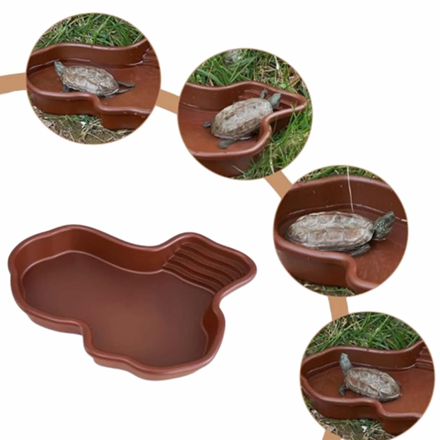Grand Bol d'Eau pour Reptiles, Bol de Nourriture pour Reptiles, Piscine pour Tortue