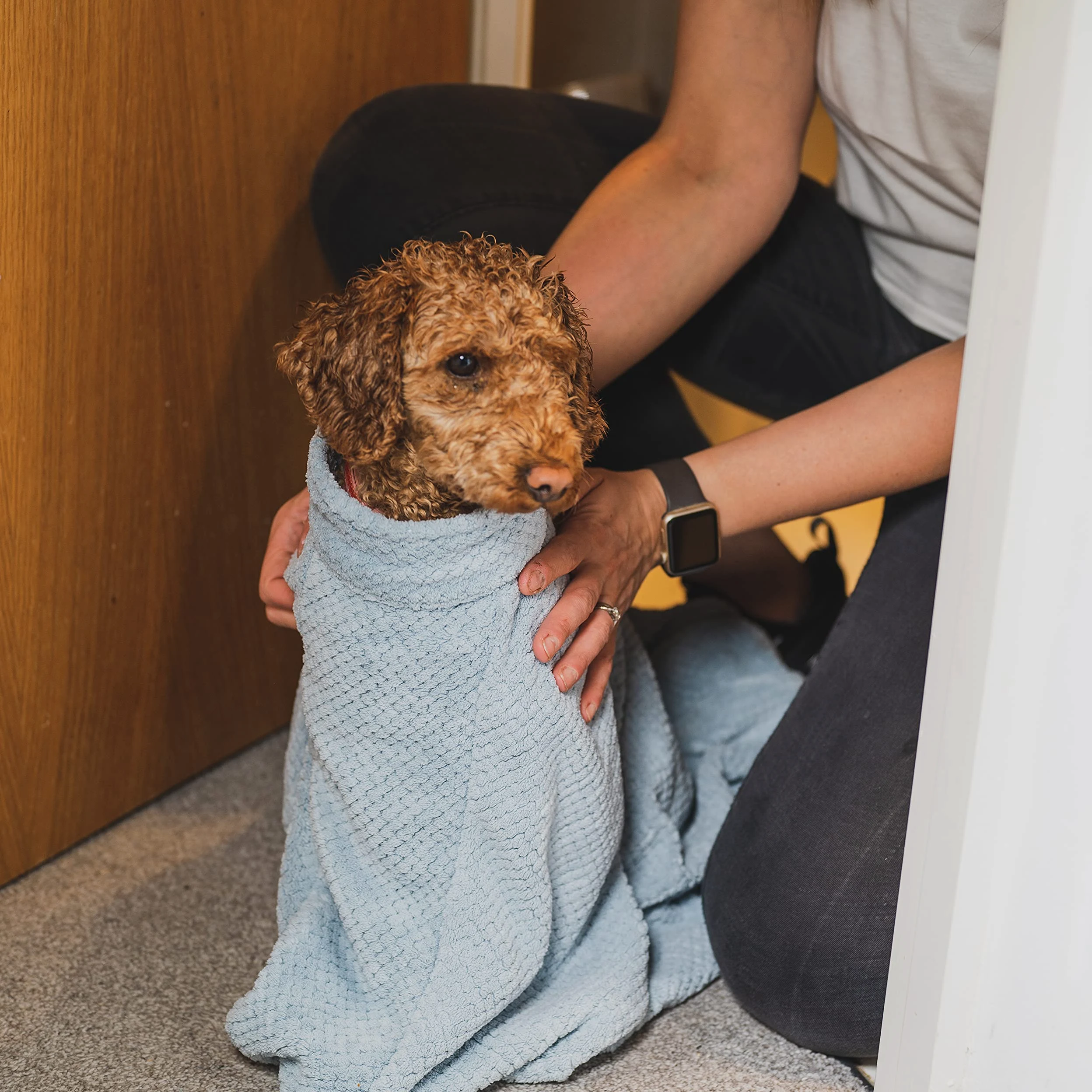 pet wiz Sac de séchage pour chien en microfibre de qualité supérieure - Super absorbant et à séchage rapide - Serviette de bain (M, bleu ciel)