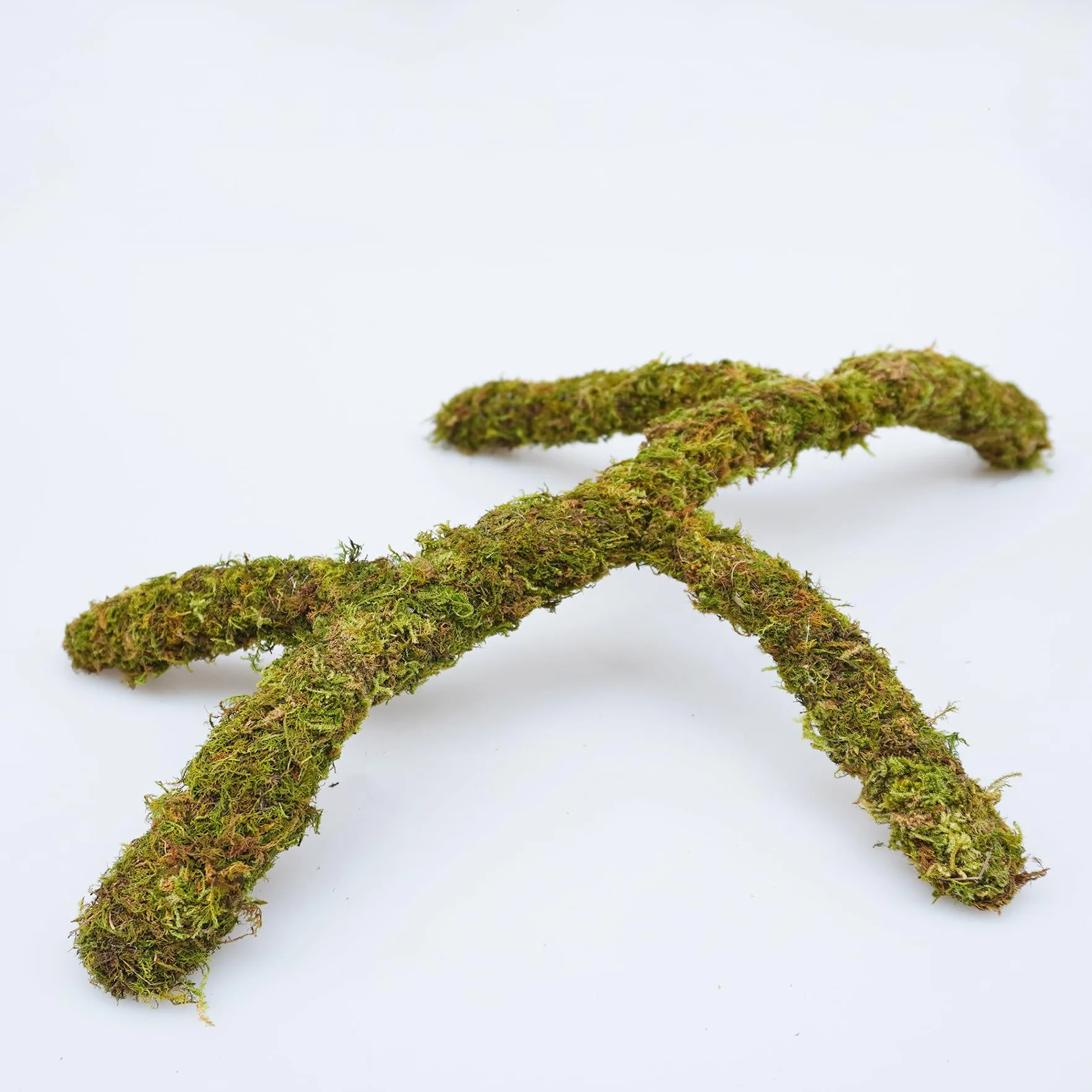 Accessoires de réservoir de gecko léopard réglables, décoration d'habitat de terrarium