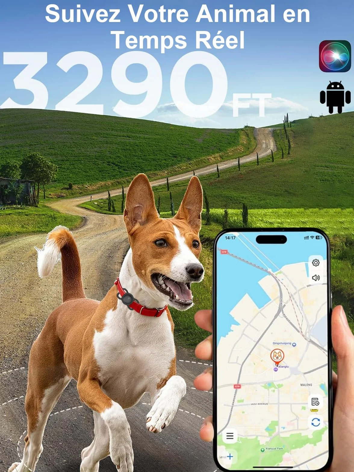 Collier GPS Chat Chien Suivi Localisation Temps Réel Mini Traceur sans Abonnement Compatible iOS Android Longue Autonomie Noir