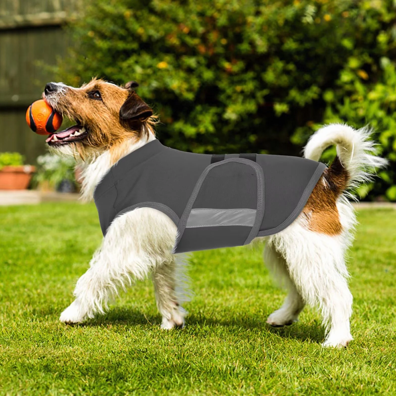 IECOii gilet anti-anxiété pour chiens, veste apaisante légère réfléchissante orages feux d'artifice
