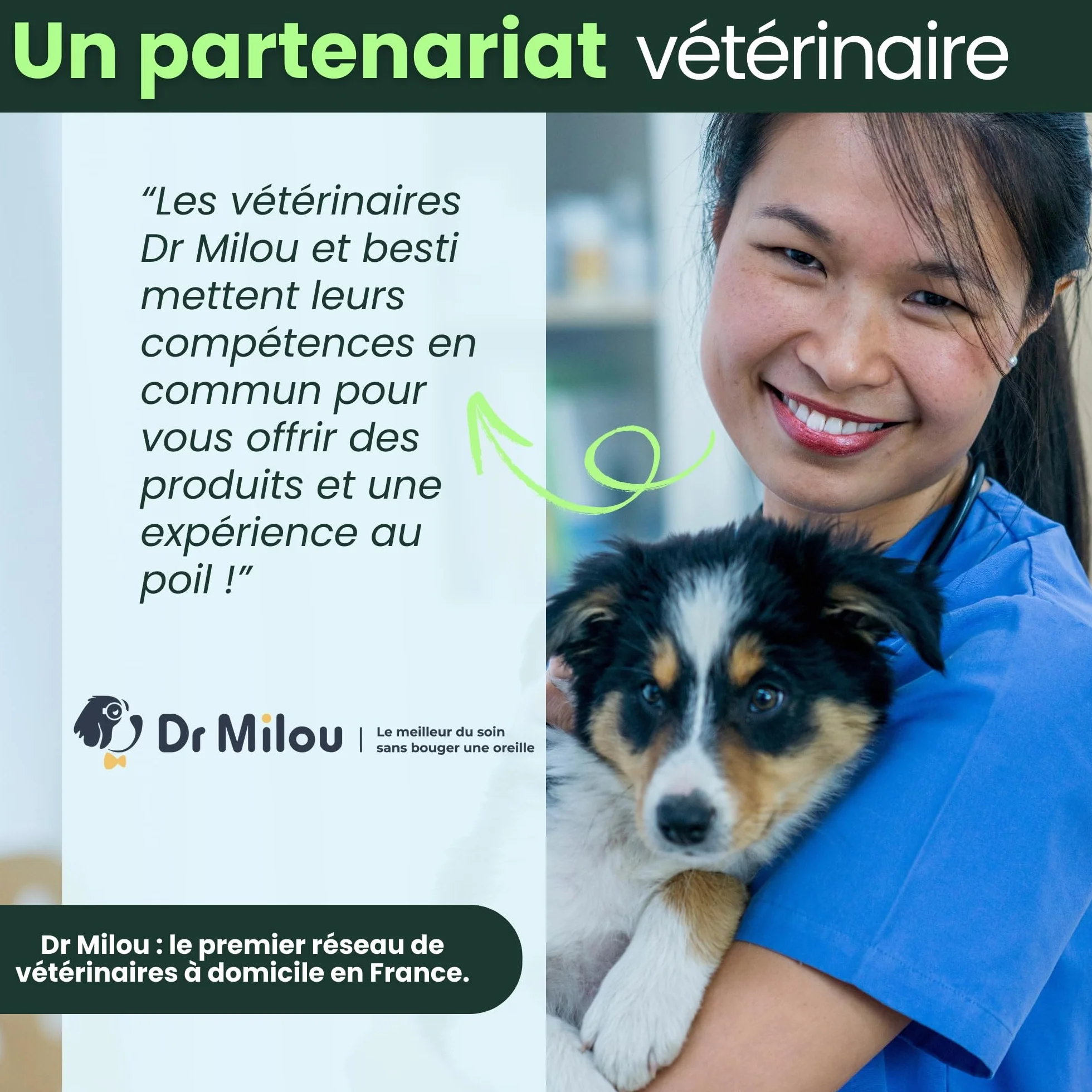 BESTI Compléments Alimentaires Premium pour Chiens Démangeaisons Omega 3 Probiotiques Saumon 300g