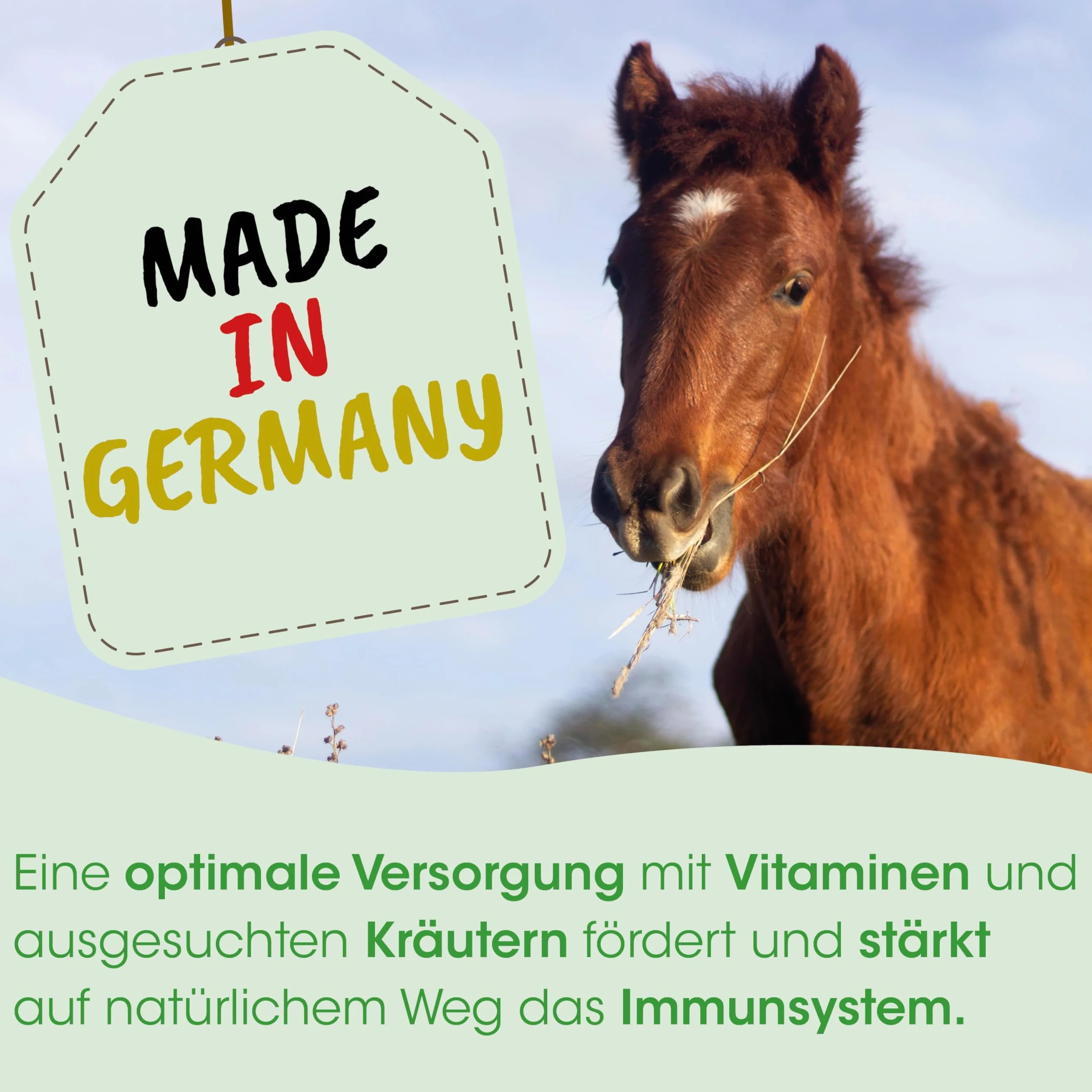 cdVet HustaVet Plus 2,5 kg - Gâteau Presse au Cumin Noir pour Chevaux, Soutien Voies Respiratoires et Bronches