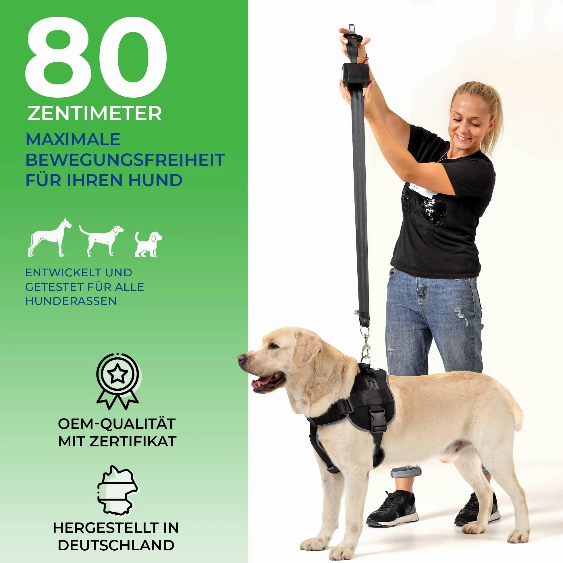 Ceinture de sécurité Extensible pour Chien/Ceinture de sécurité pour Chien de Taille Moyenne et Grande/Ceinture Sangle pour Chien