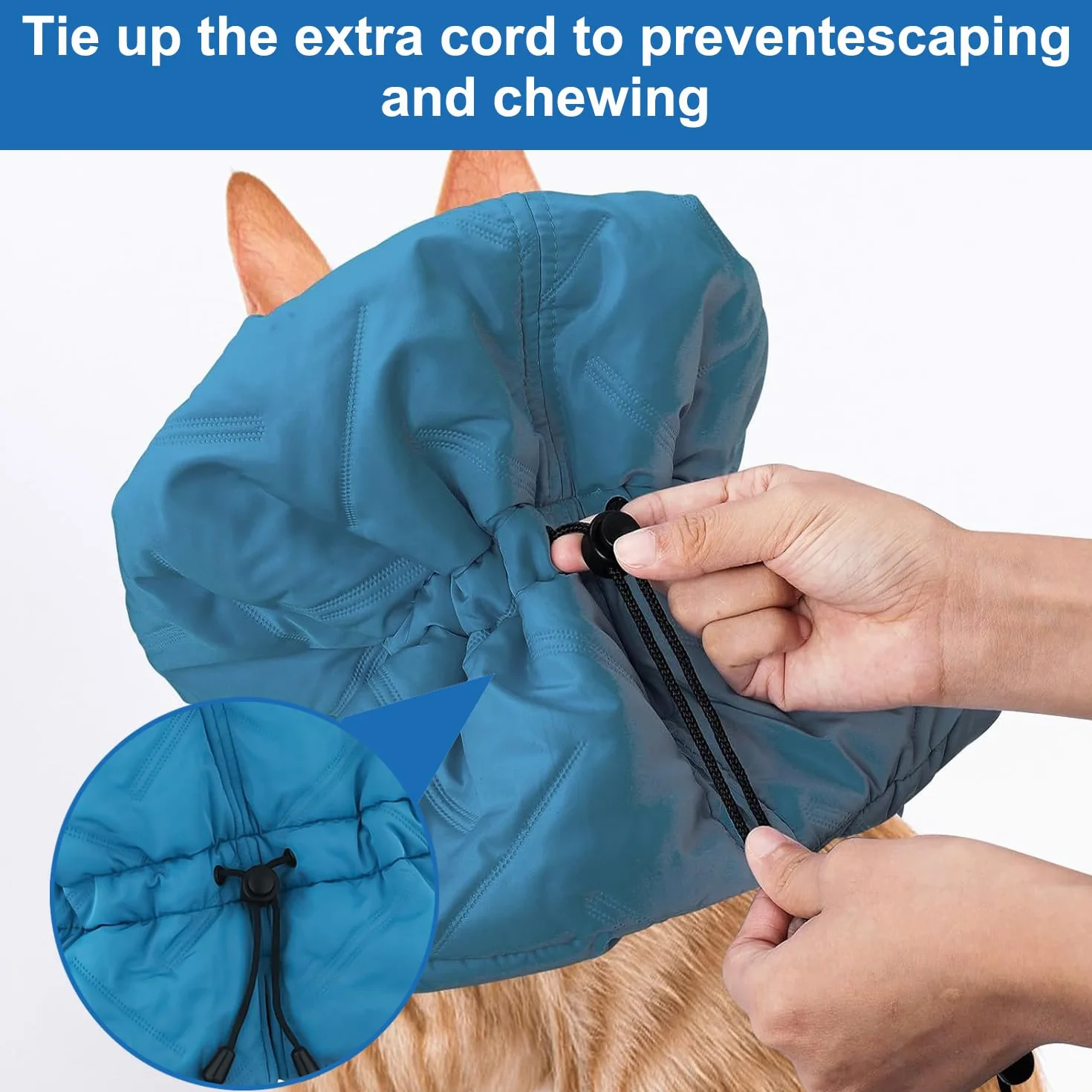 Collier de Récupération Chat Doux Ajustable Bleu S