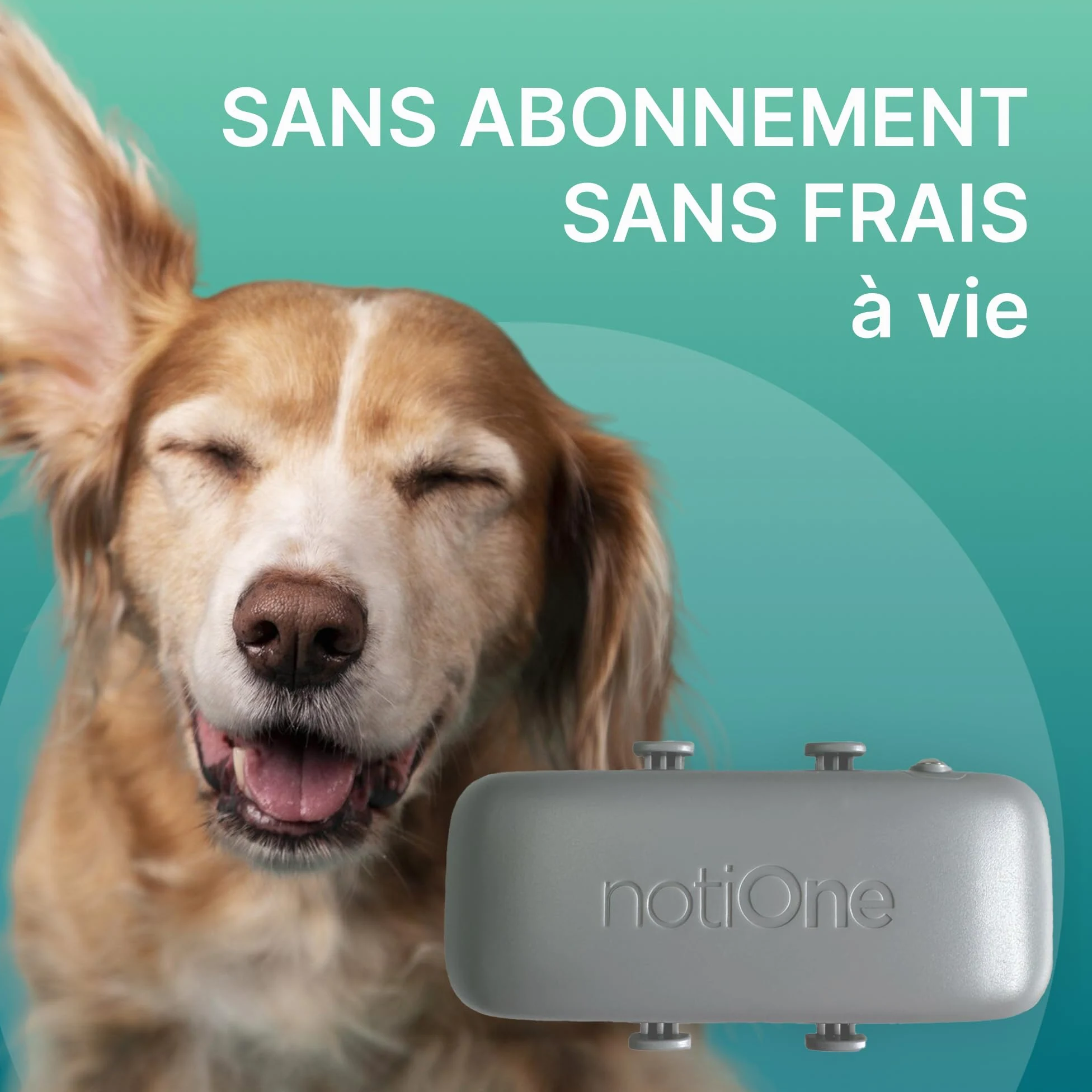Traceur GPS Pet Plus sans Abonnement, Chien & Chat, géofence | Suivi d'activité et Roaming Gratuit, Etanche