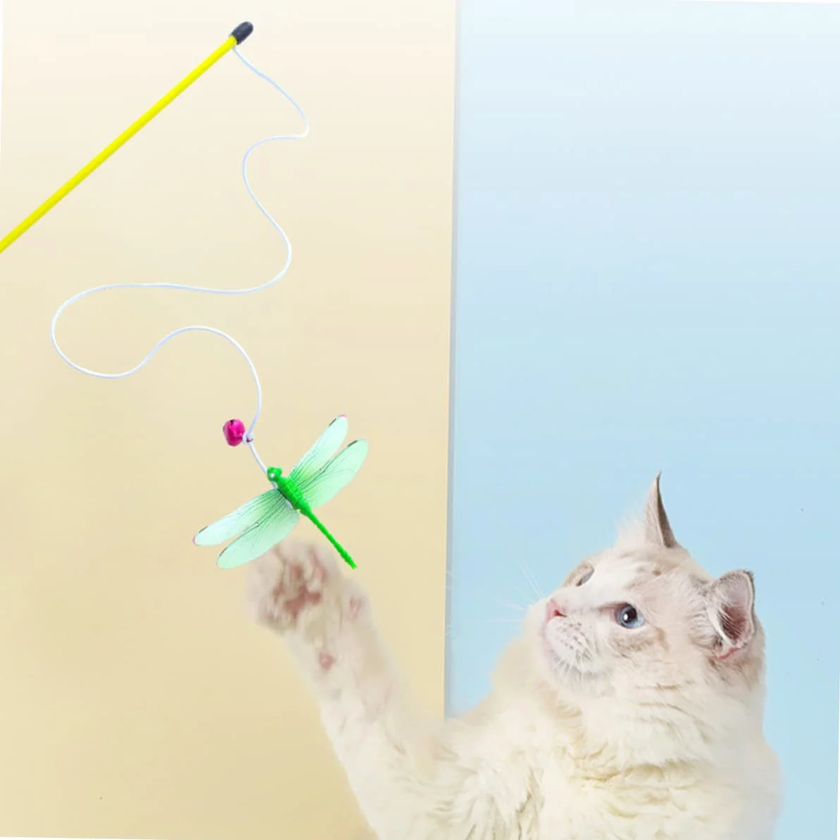 BESPORTBLE 16pièces à Jouer pour Chats Jouet Interactif Bois pour Chats Intérieur De Jaunes Rouges