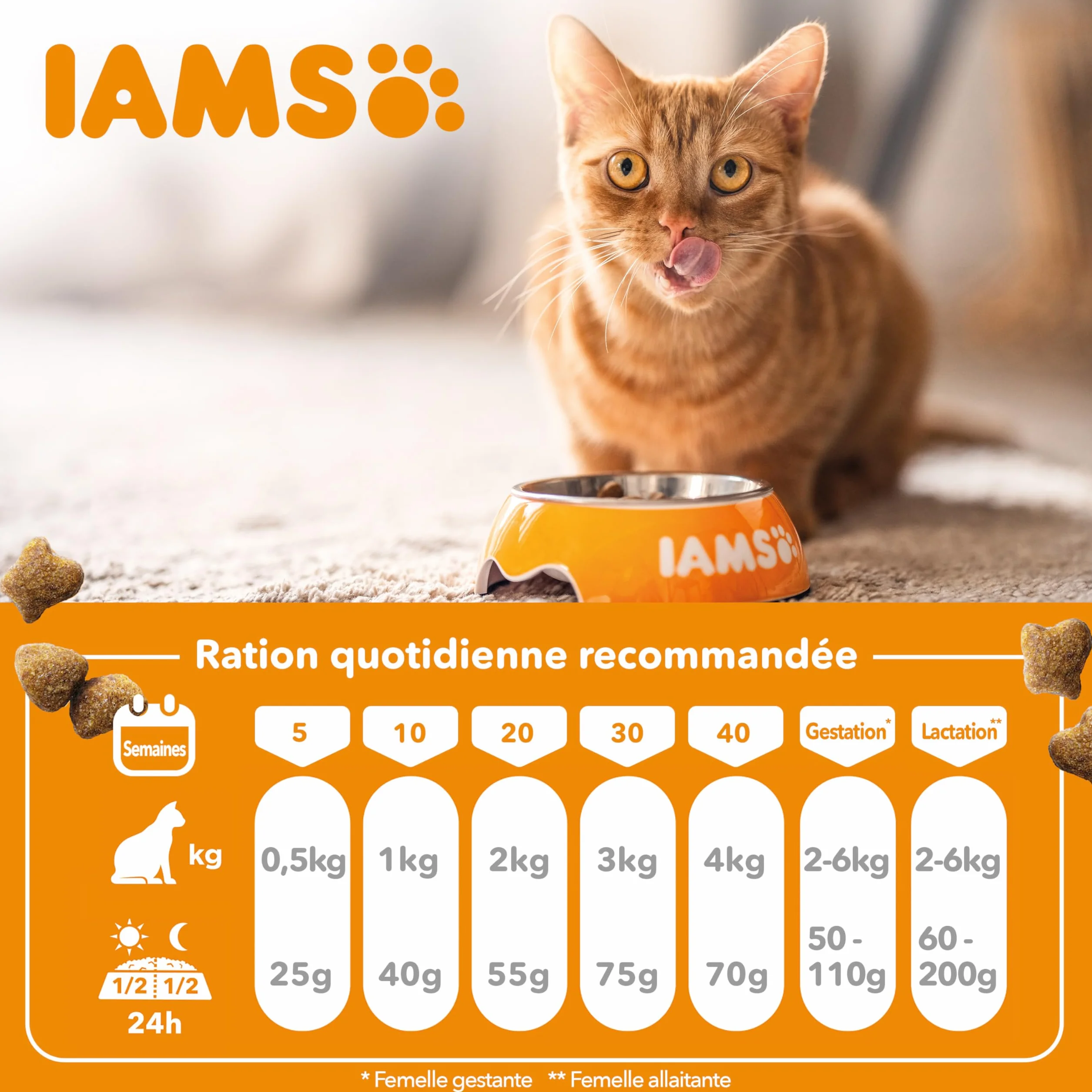 IAMS Advanced Nutrition Croquettes Premium Chatons Au Poulet Frais Sans OGM 3 kg