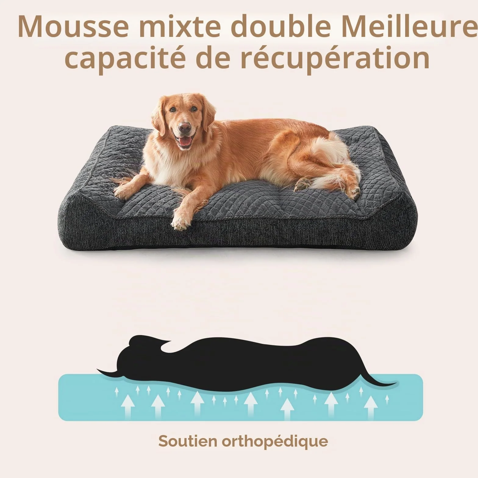 JOEJOY Panier Chien Orthopédique Grande Taille XXL, Coussin Déhoussable Lavable, Canapé Antidérapant Velours Floconné Doux