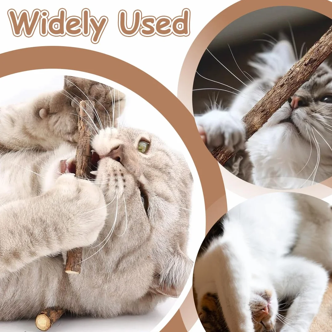 Bâtonnets en Bois de Matatabi pour Chats - 12 Pièces, Jouet Naturel à Mâcher pour l'Hygiène Dentaire, Soin des Dents et Contre la Mauvaise Haleine (Diamètre 0.6-0.8 cm)