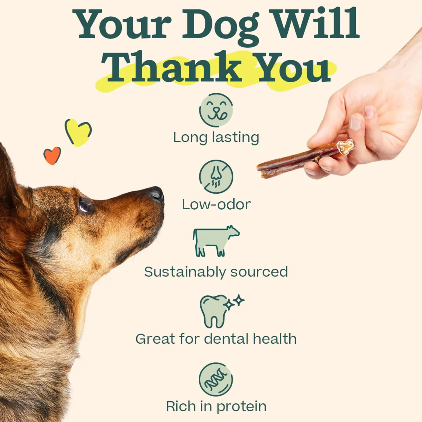 WOOF Bully Sticks Friandises pour chien – Bâtons à mâcher durables en bœuf nourri à l'herbe