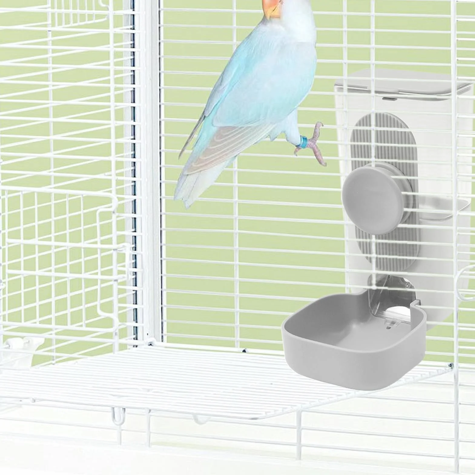 Mangeoires et abreuvoirs pour cage à oiseaux, système d'alimentation automatique pour perroquets