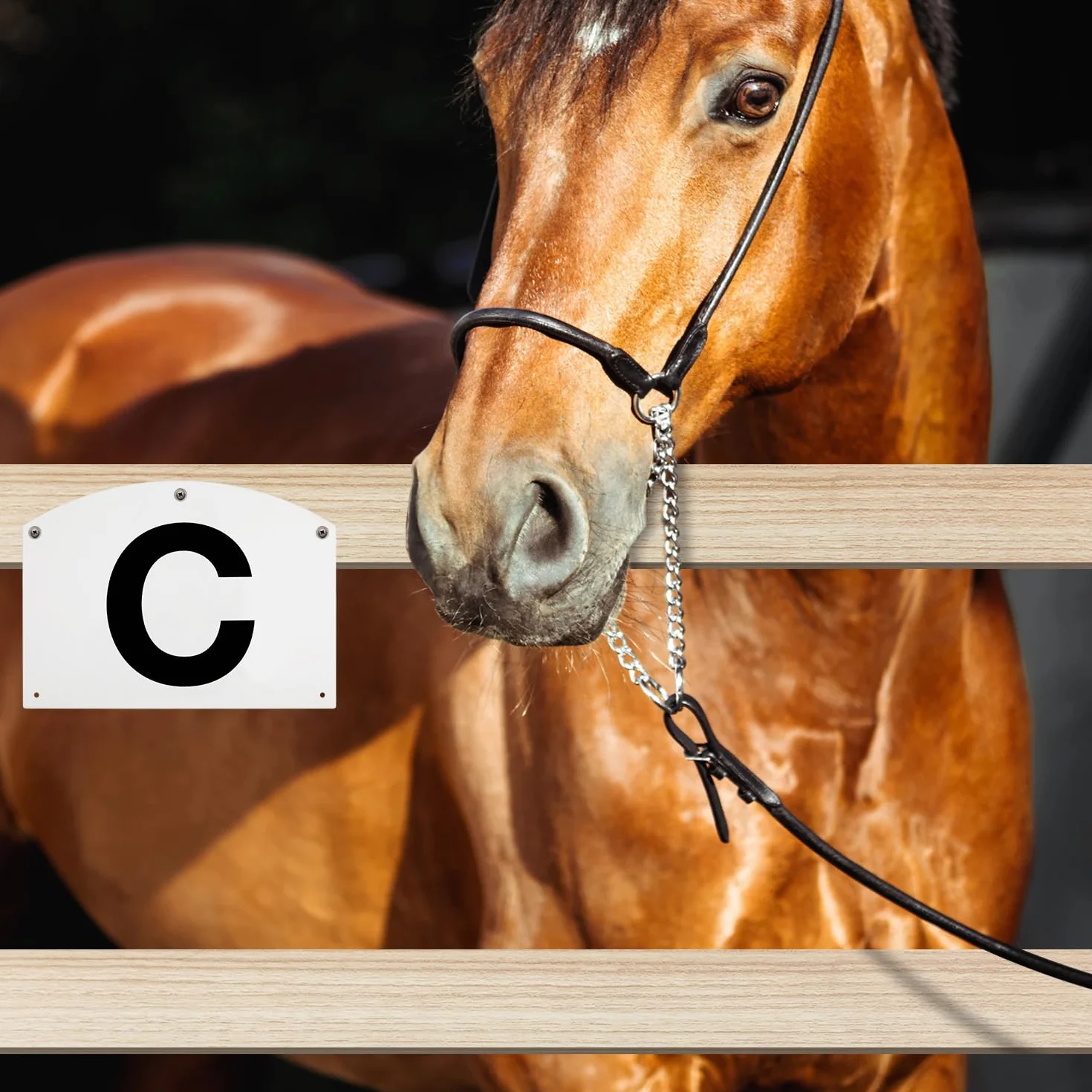 PEUTIER Marqueurs de Dressage Muraux pour Arène, Acrylique Grandes Lettres A B C E H K F M