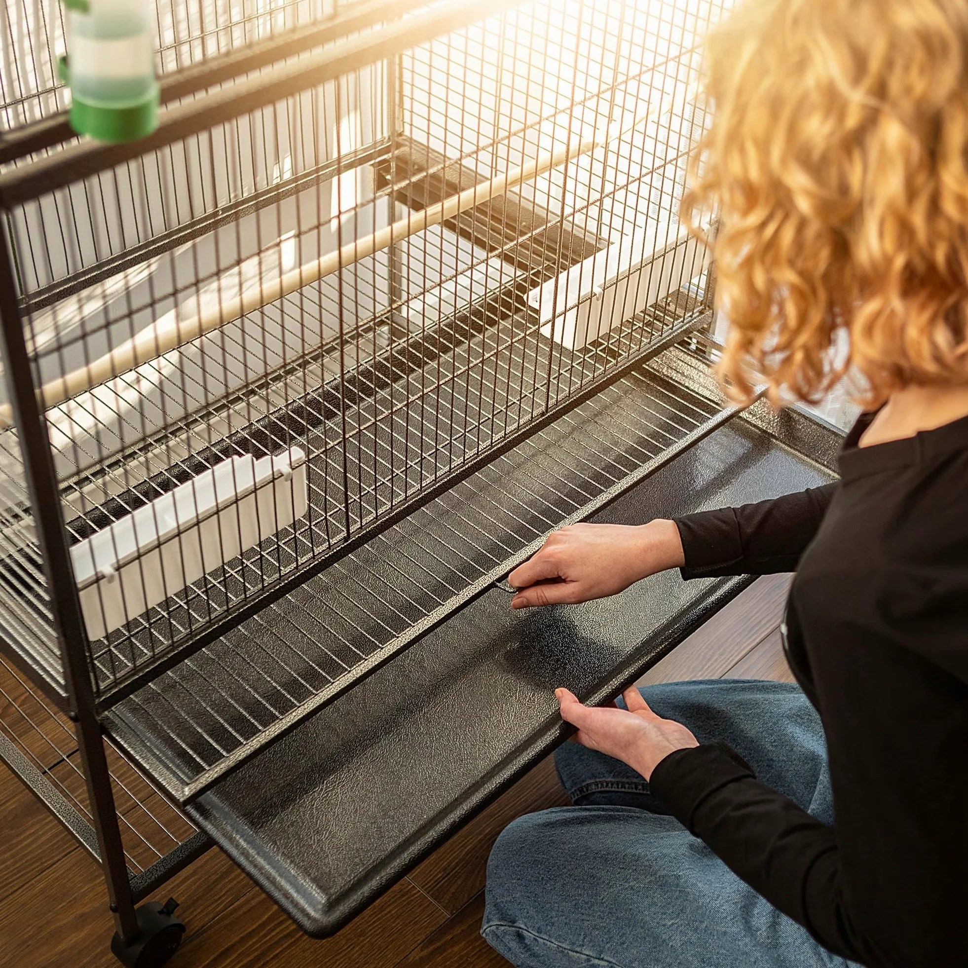 KADAX Volière à oiseaux 79 x 52 x 133 cm - Cage à oiseaux sur roulettes avec perchoirs, mangeoires et distributeur d'eau - Cage en métal pour perruches, perroquets