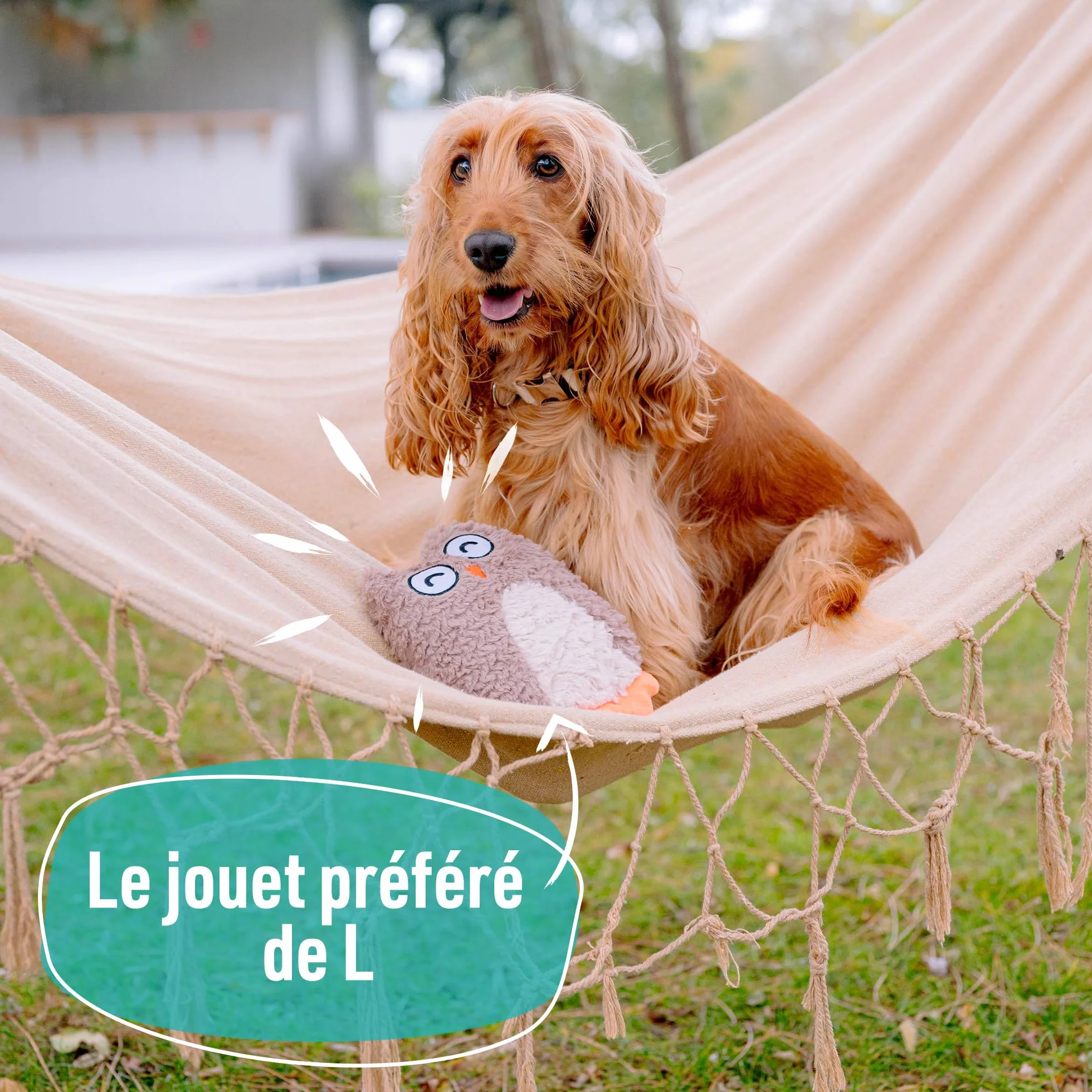 Jouet Hiboubou 25 cm Peluche pour Chien Facile à Ranger et à Transporter