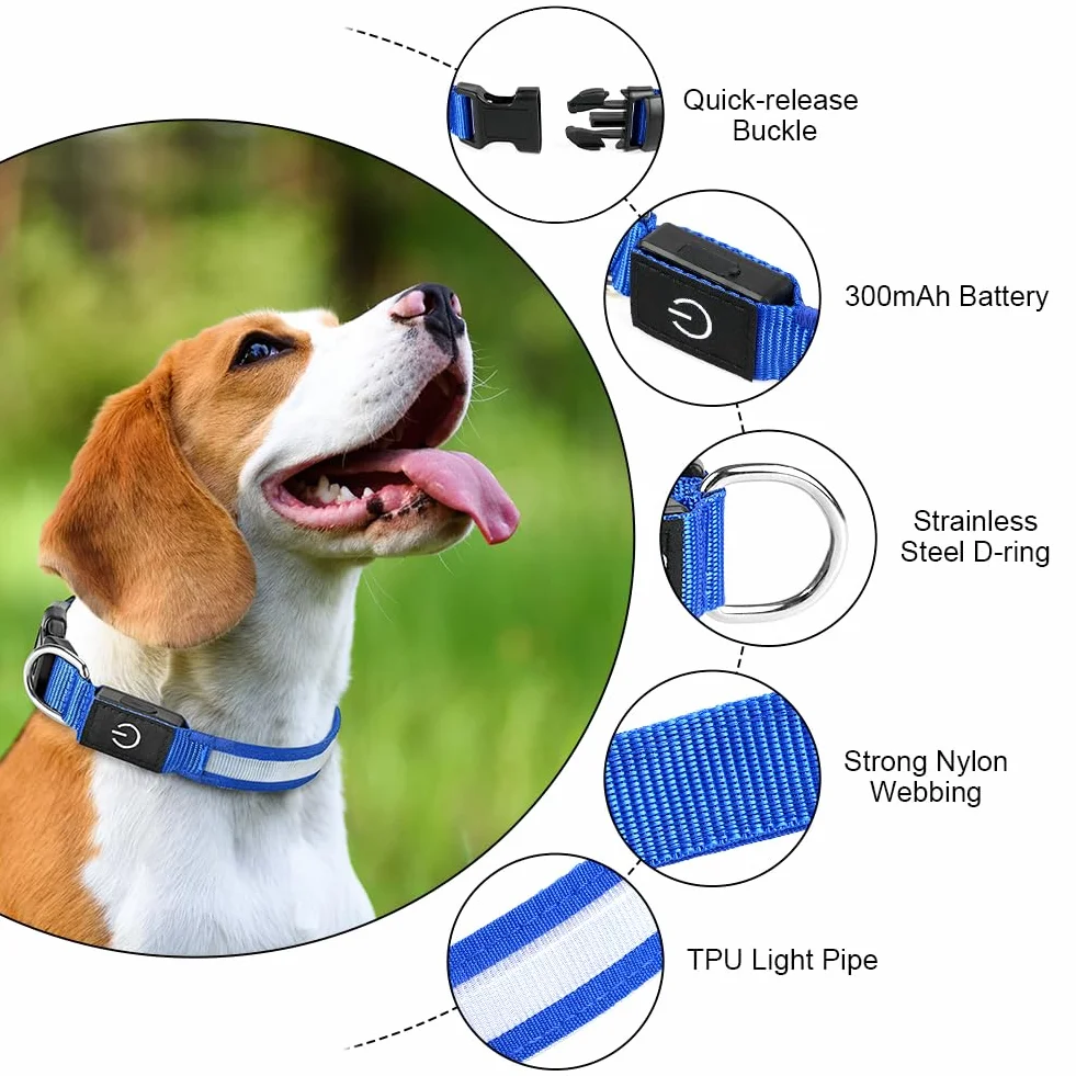 AUAUY Collier Lumineux LED Rechargeable pour Chien avec Port Type-C, 3 Modes, Imperméable, Réglable (L, Vert)