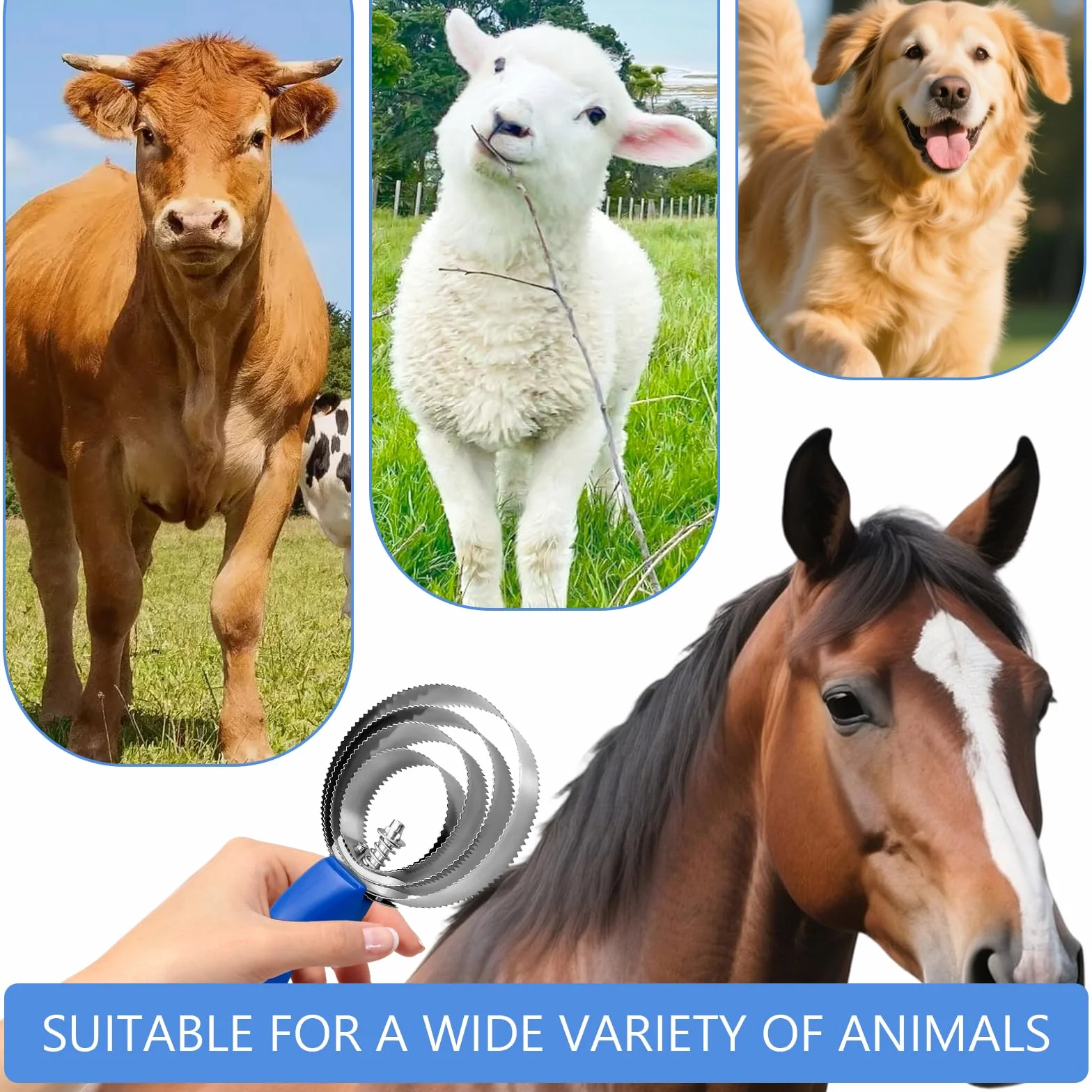Brosse Double Face pour Cheval Etrille Peigne Curry Démangeaisons Changement Pelage