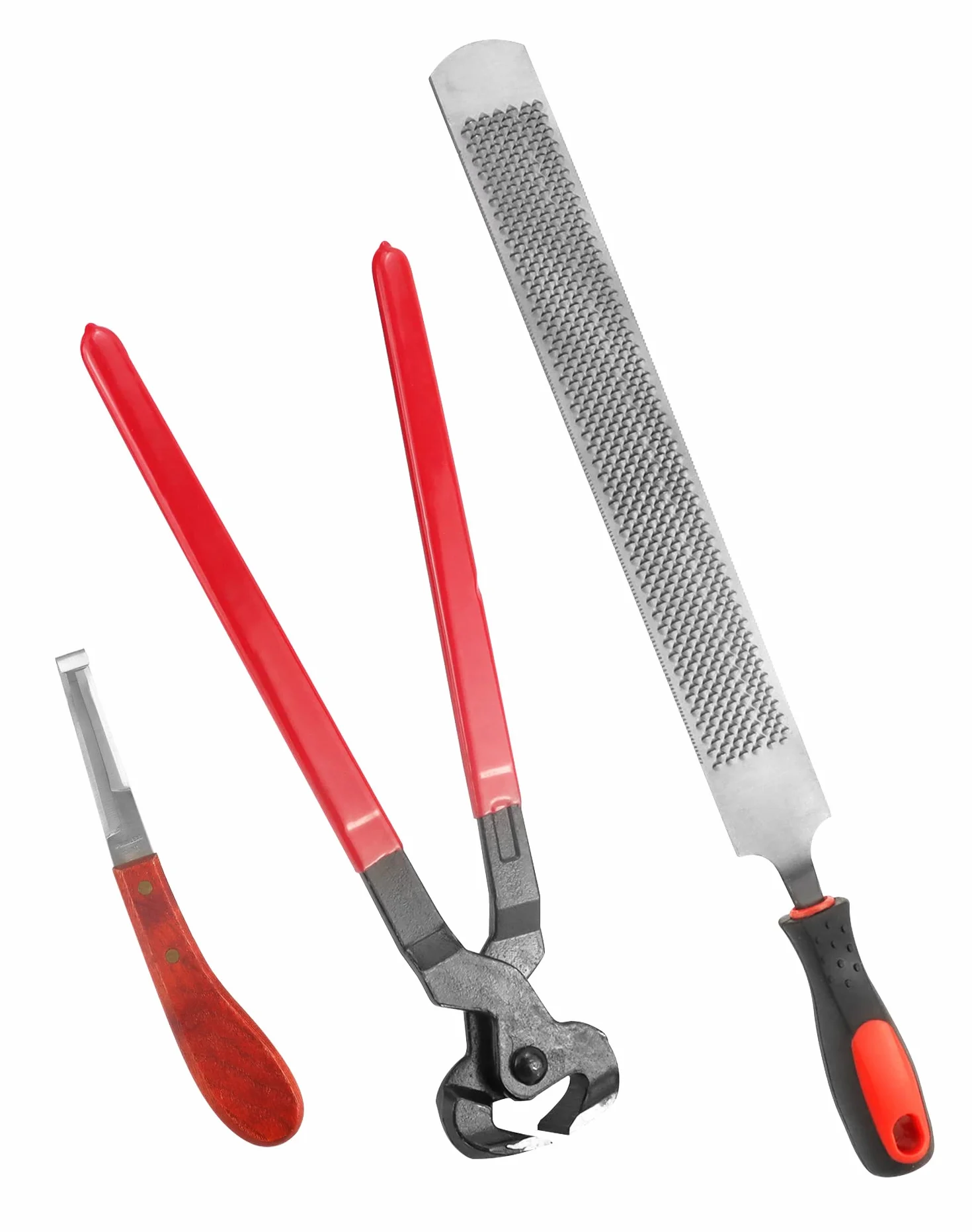 QWORK 3 Pièces Outils de Maréchalerie Pince à Sabot Outil de Parage Râpe Poignée Chevaux