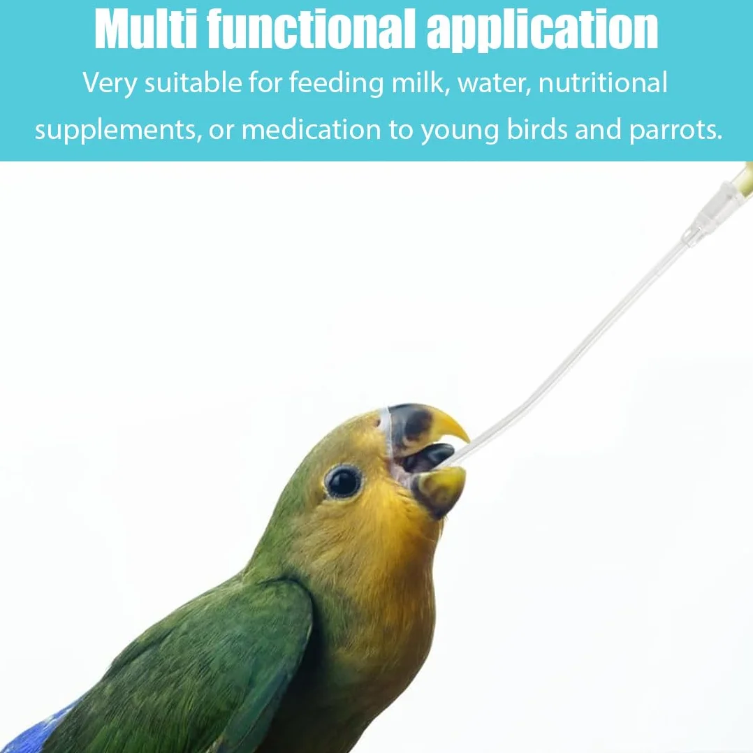 10 Pièces Tubes d'Alimentation pour Oisillons avec 2 Seringues 10 ml, Outil de Nourrissage pour Bébés Oiseaux et Perroquets