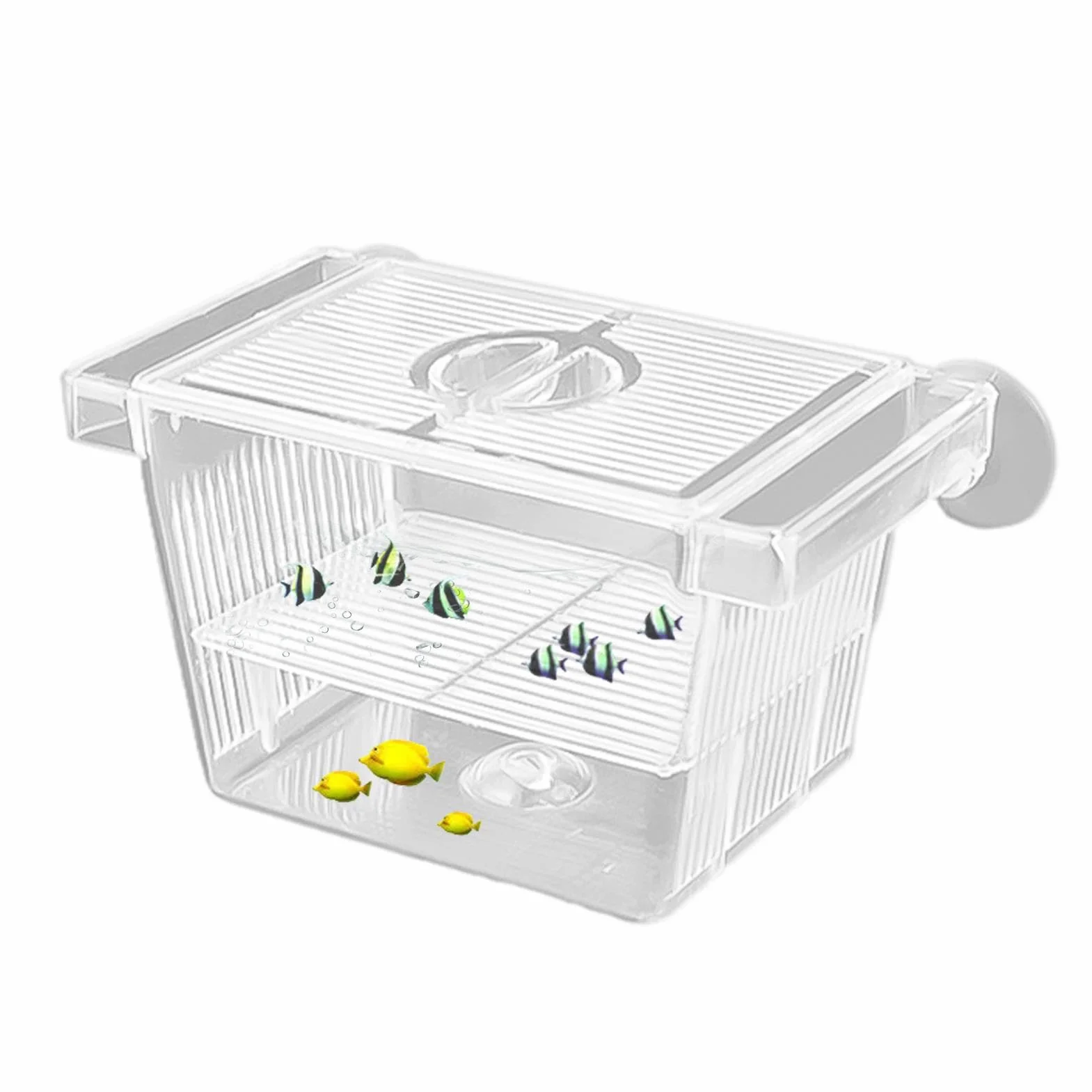 Boîte d'isolation Transparente pour Poissons et Crevettes - Réservoir d'incubateur en Acrylique pour Aquarium