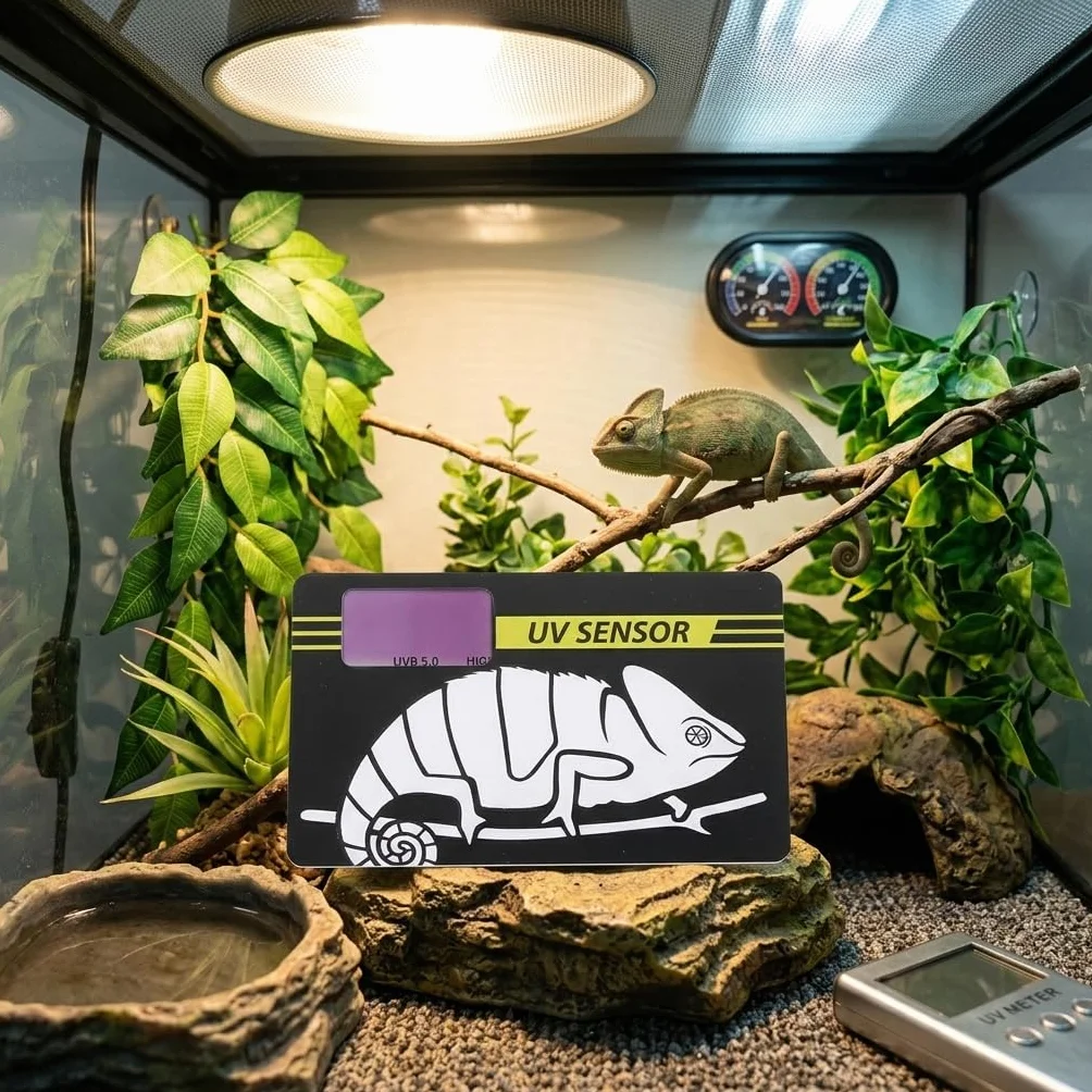 Carte de Test UV pour Animaux de Compagnie, Testeur UVB UVA pour Lampe Reptile Réutilisable
