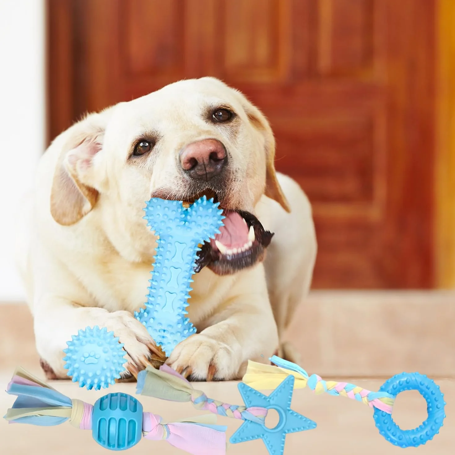 Jouet Interactif Chien avec Corde et Balle, Jouets Dentition en Coton pour Chiens