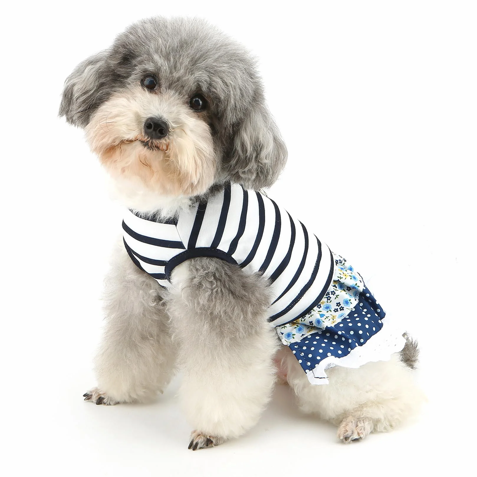 Robe rayures nautiques chien XL jupe dentelle florale pois anneau D yorkshire chihuahua printemps été