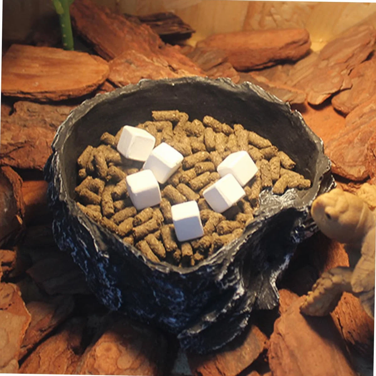 Toyvian Cube de Calcium pour Réservoir de Tortue 6 Pièces Bloc Minéral Naturel Dissolvable Reptiles Lézards Geckos Supplément Calcique