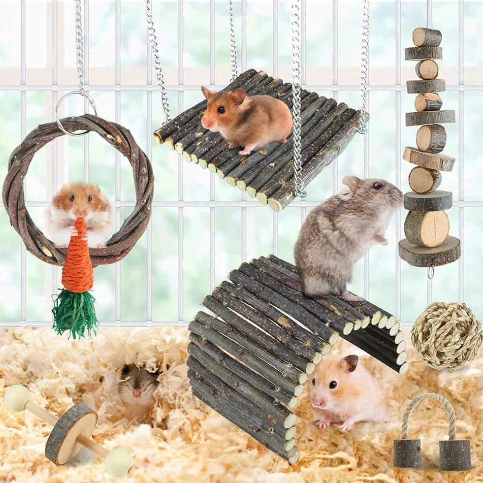 Jouets à mâcher pour Hamster en Bois de Pomme, Échelle, Cloche, Rouleau pour Petits Animaux