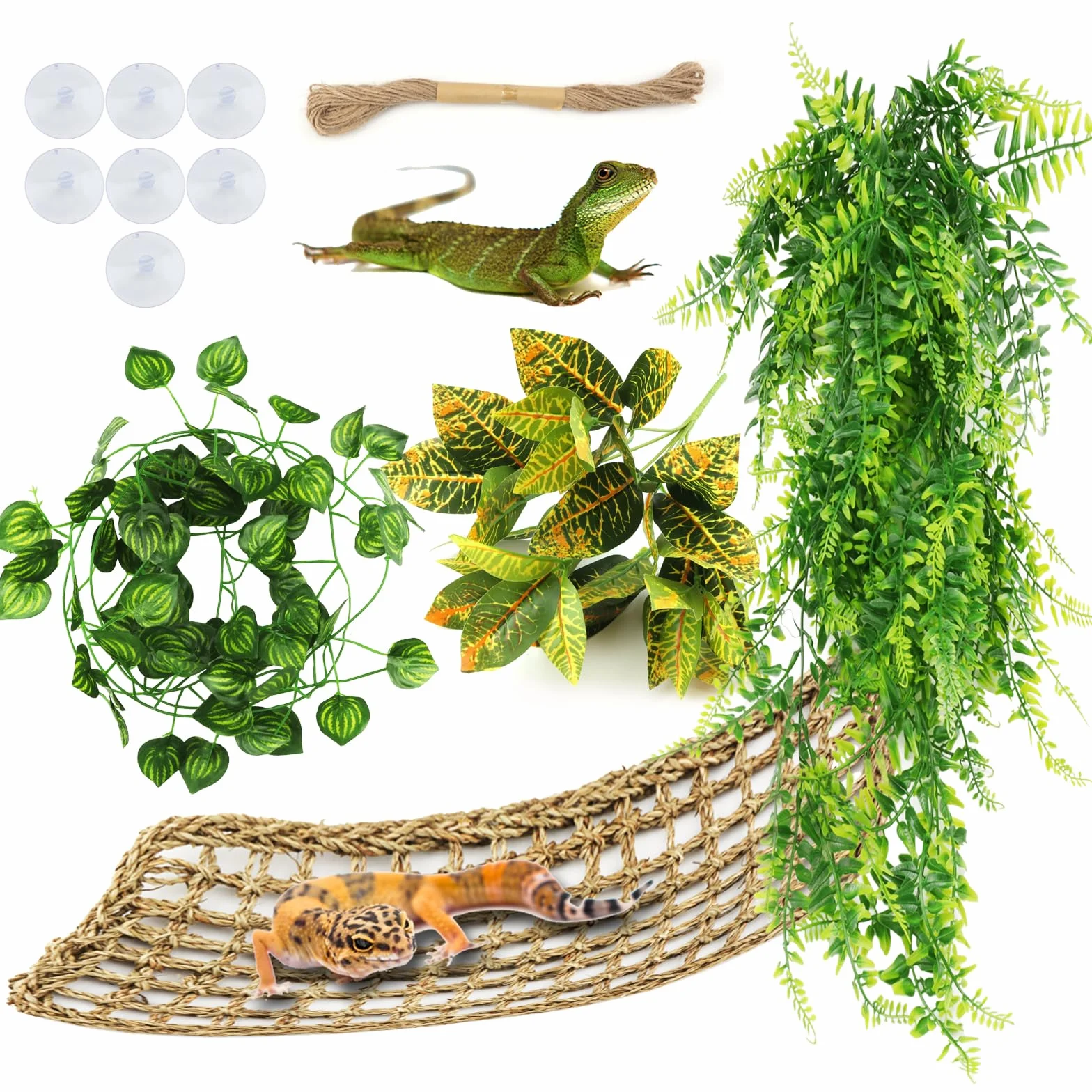 QUOZUO Dragon Barbu Hamac Naturel pour Reptile avec Vignes d'Escalade et Branche Décorative Terrarium