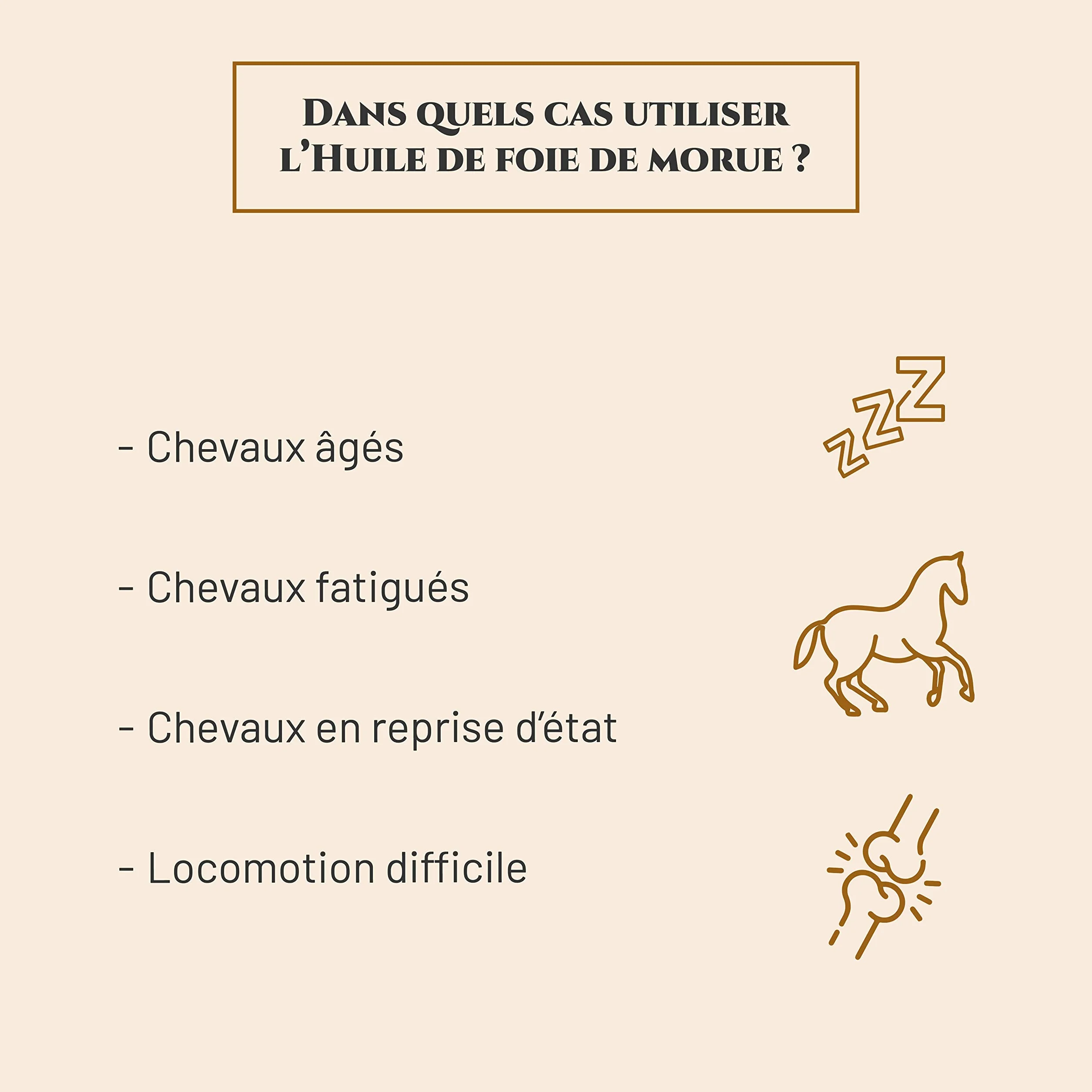 Huile de foie de morue complément nutritionnel cheval 1 L articulations immunité oméga 3 vitamines A D marque française
