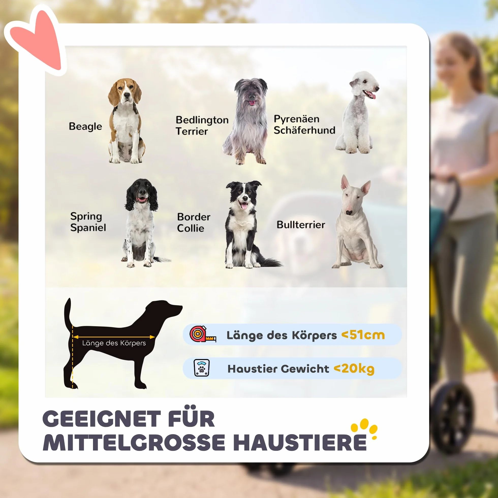 PawHut Poussette pliable pour chien jusqu'à 20 kg avec coussin lavable, fenêtre en filet, 3 roues, porte, poche arrière, poussette pour animaux de compagnie de petite et moyenne taille, vert foncé
