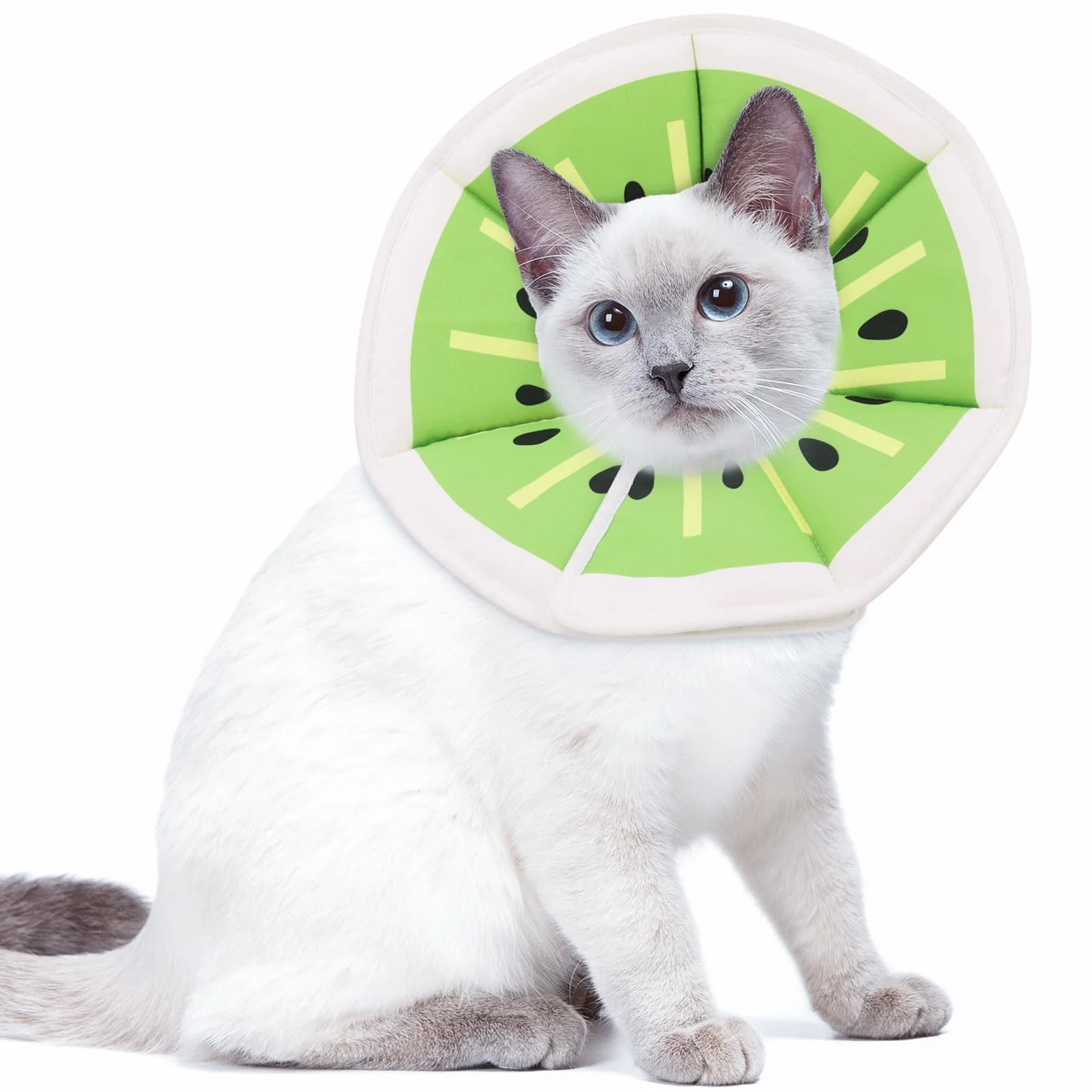 Collerette Réglable Anti Léchage pour Chat, Collier de Protection Récupération