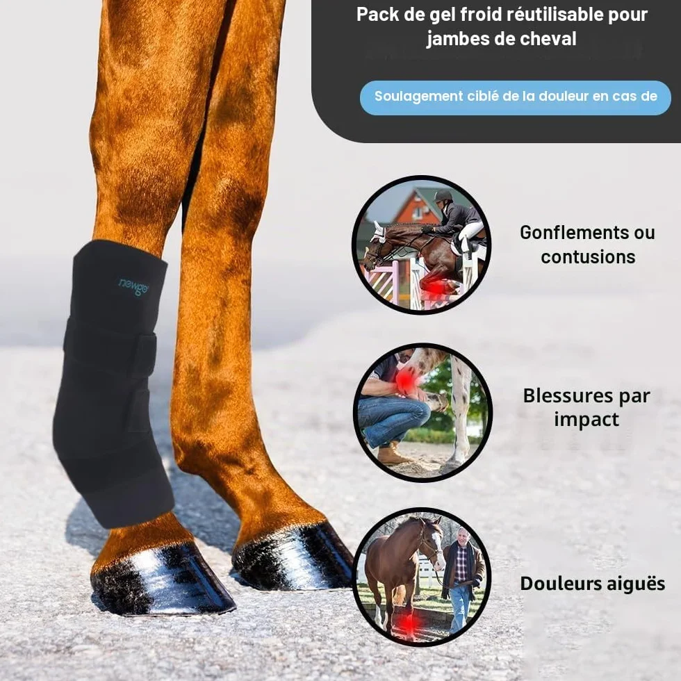 NEWGO Guêtres froides cheval maintien ferme - 2 blocs de refroidissement amovibles bandage lavables