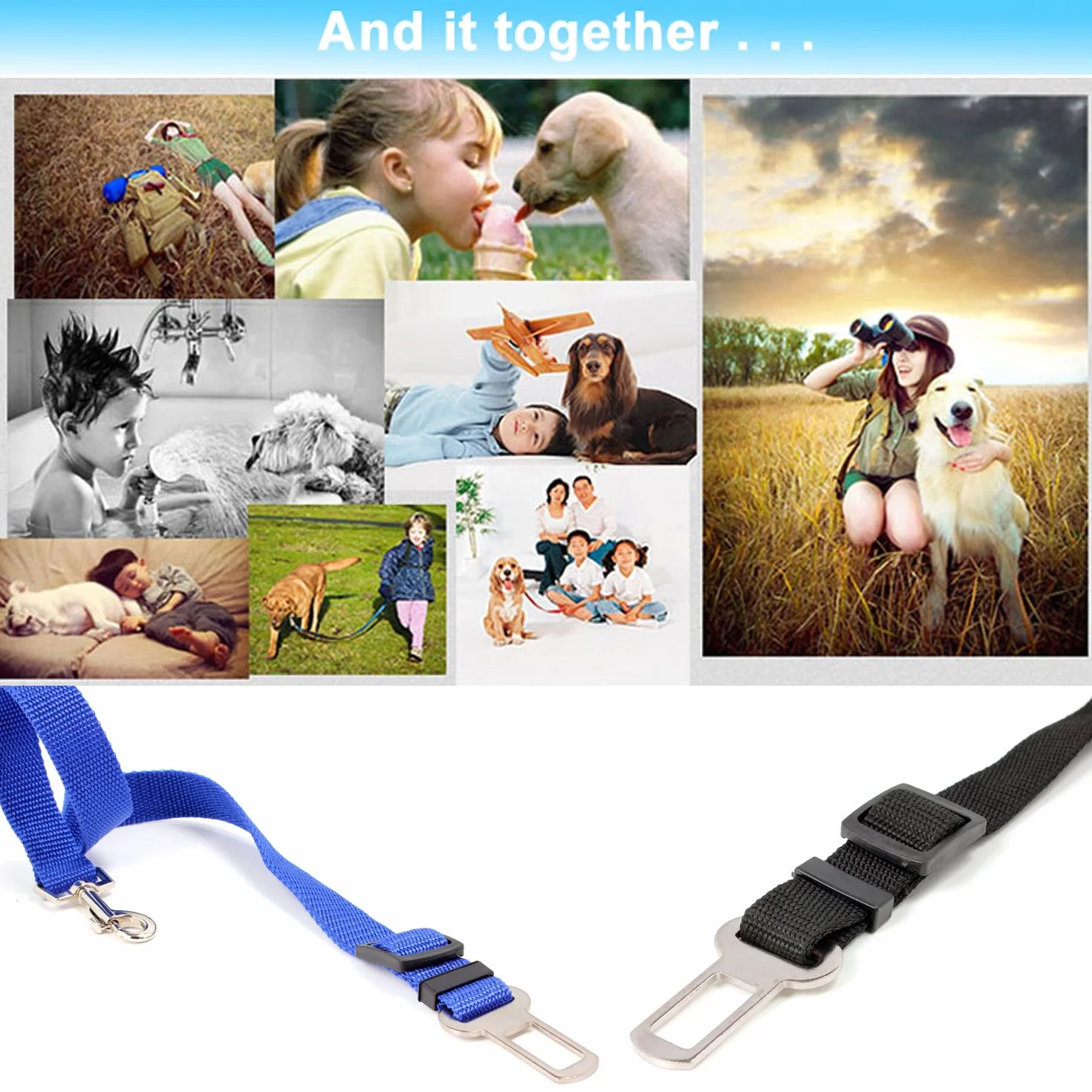 Ceinture de Sécurité pour Chien Chat Animaux de Compagnie Sièges Voiture Noir