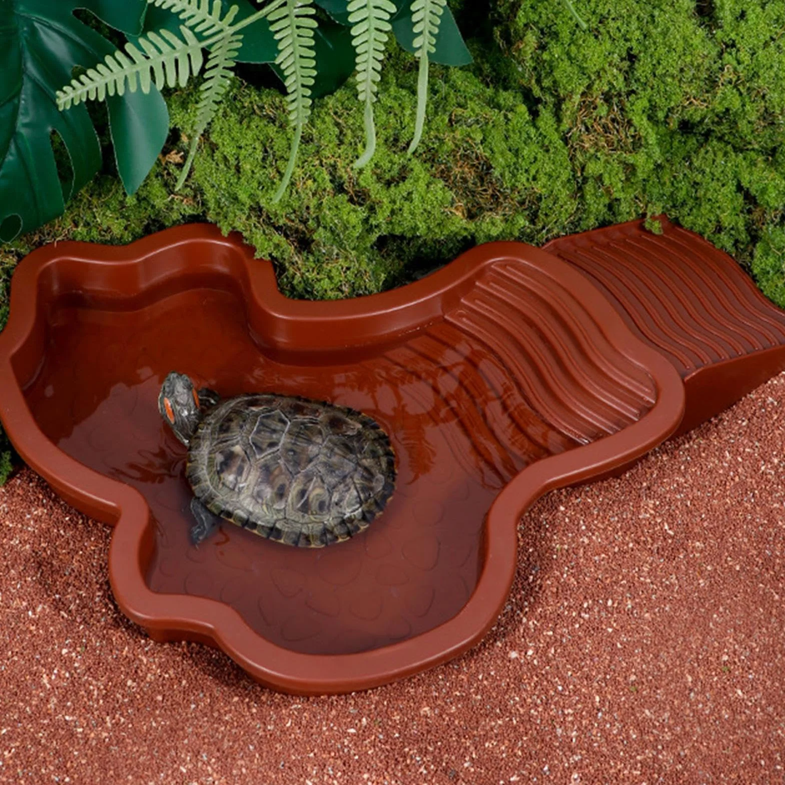 Bassin pour Tortue avec Rampe et Échelle, Plat d'eau pour Reptiles, Mangeoire pour Terrasse