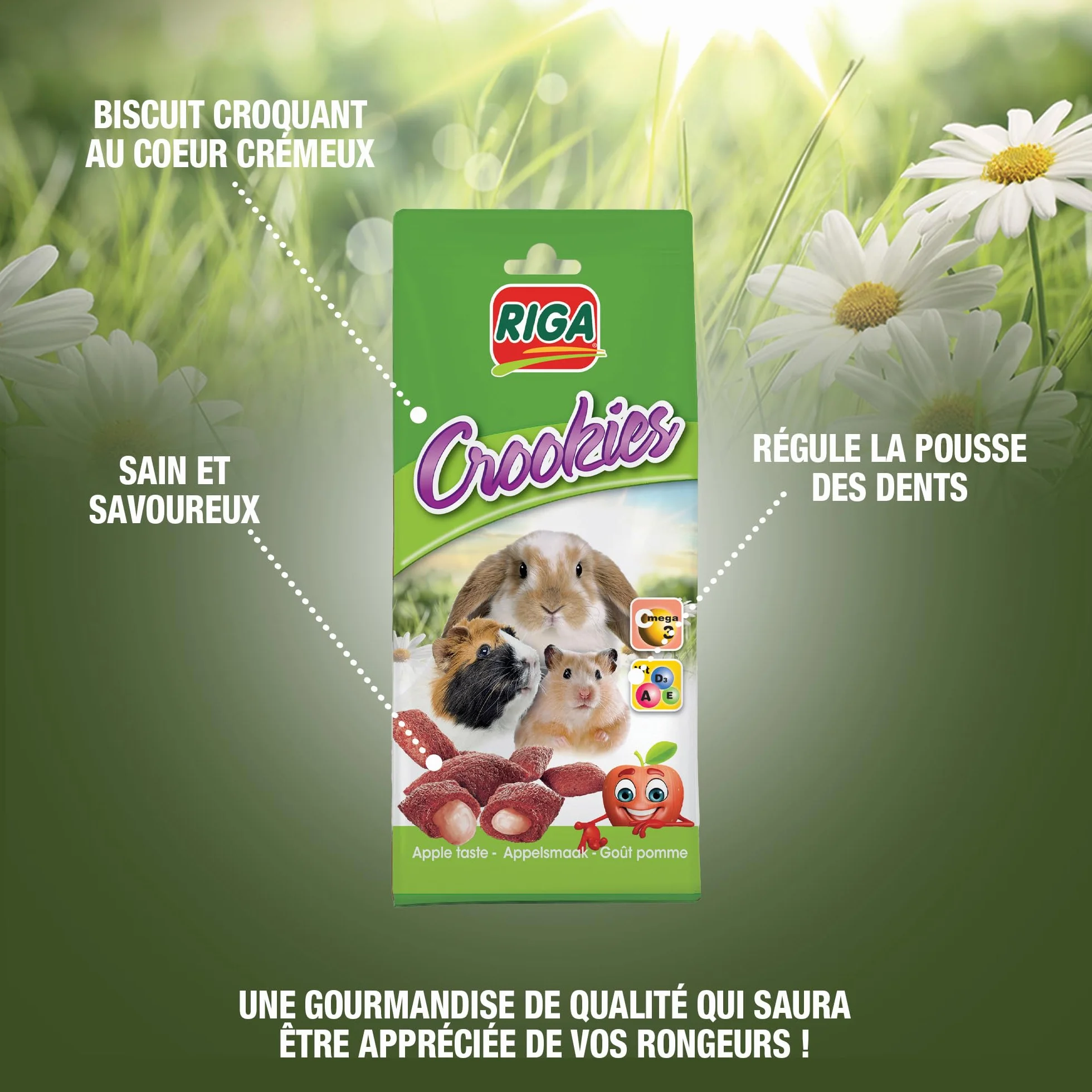 Crookies A La Pomme Aliment Complémentaire pour Rongeurs Biscuit Croquant 50G