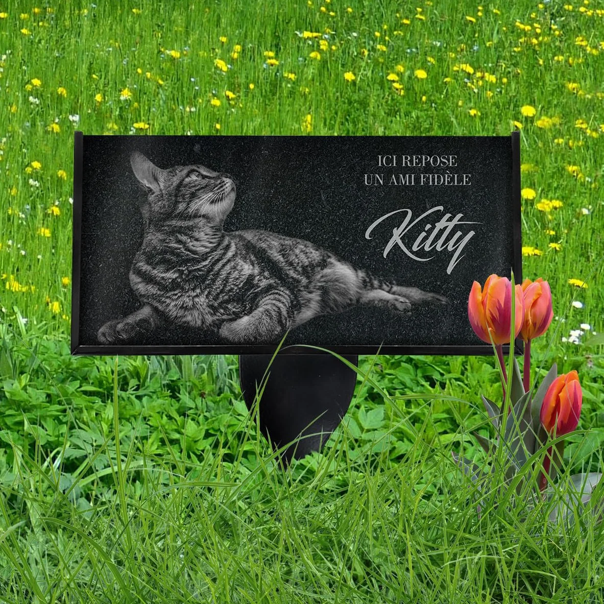 Plaque Funéraire Personnalisée pour Animaux Ardoise Granit Empreinte Photo Texte