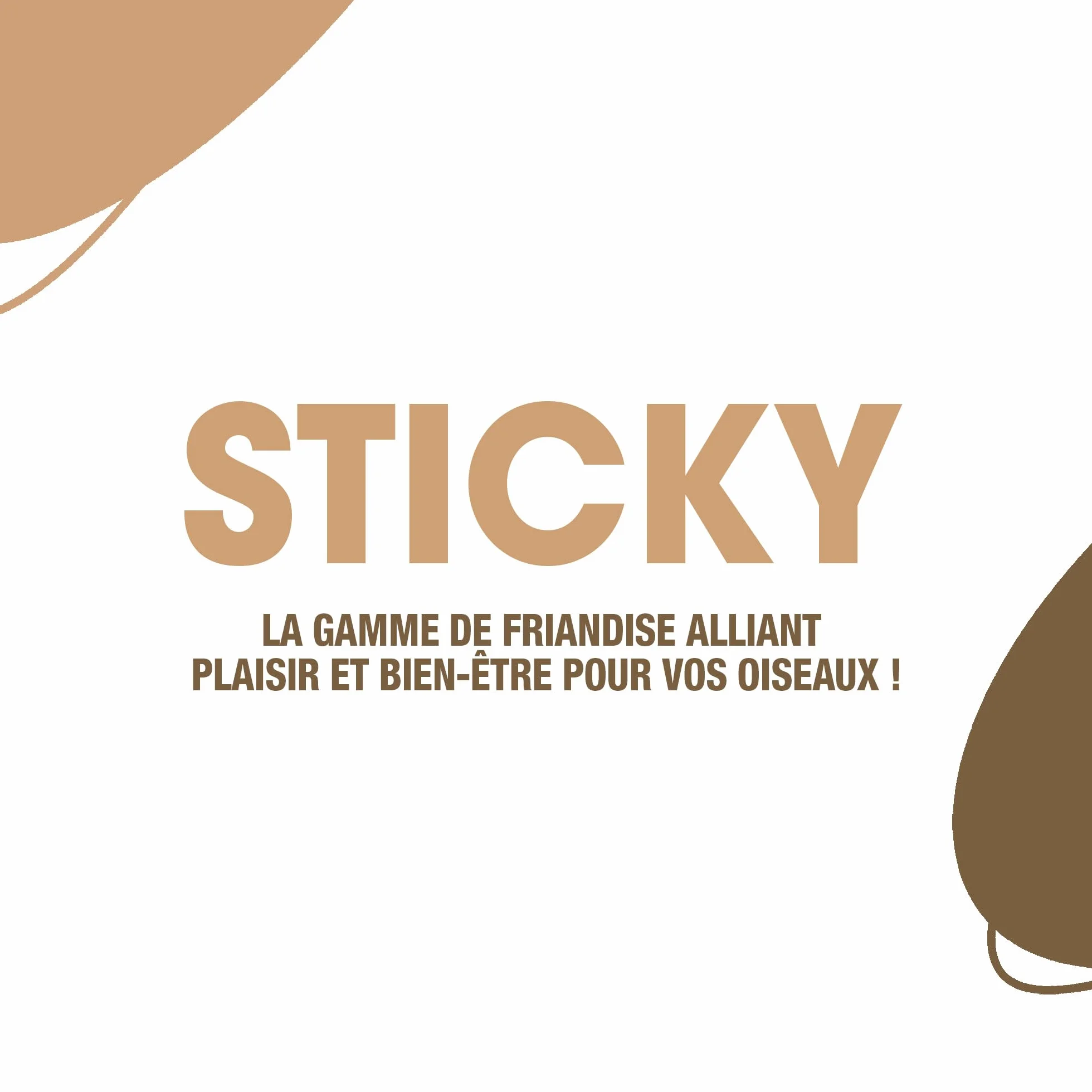 RIGA Barres De Sticky Aux Fruits Nourriture Pour Grandes Perruches Baguettes Graines Cuites Au Four Pommes Et Raisins x 2