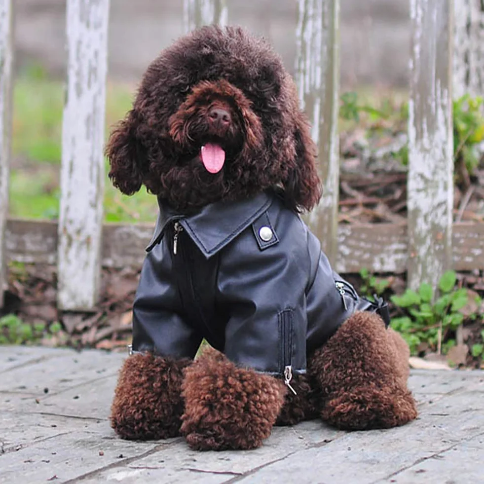 Manteau d'hiver pour Chien en Cuir Cool, Coupe-Vent Étanche, Noir XL