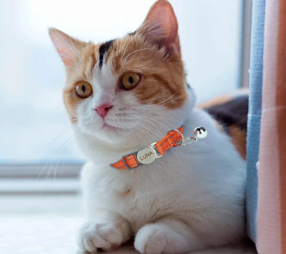 Collier réfléchissant personnalisé pour chat avec clochette - Design détachable - Nom et numéro de téléphone gravés