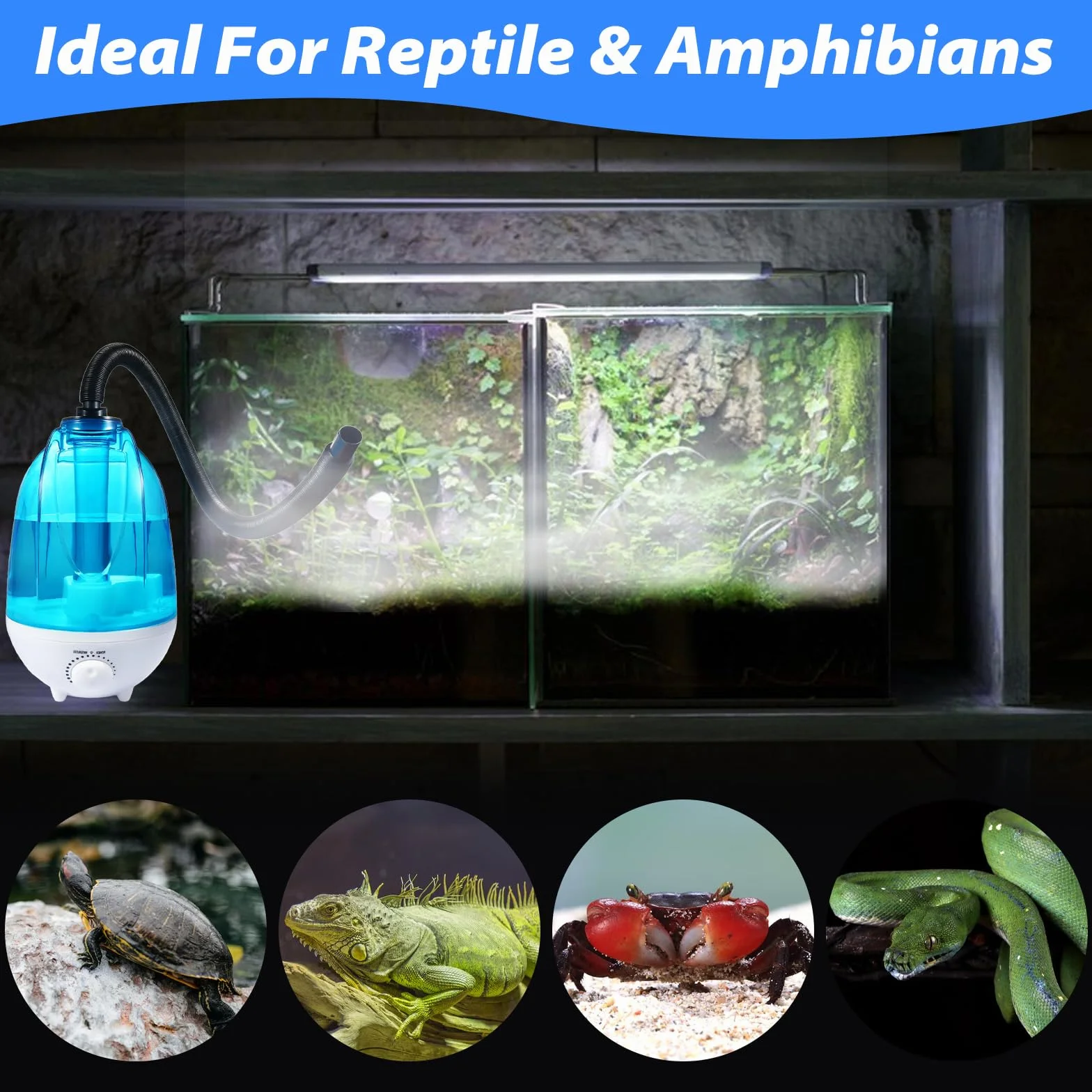 Brumisateur pour Terrarium 4L - Générateur de Brume 300mL/h avec 7 Couleurs de Veilleuse - Humidificateur Ultrasonique pour Reptiles