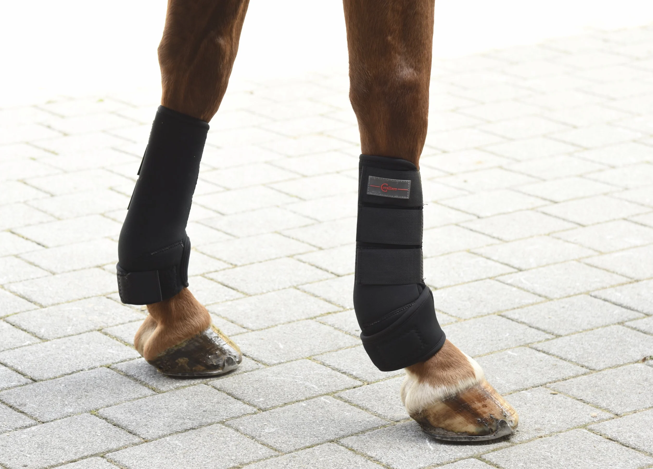 KERBL Protège-Boulet Cheval Pur-Sang Taille M