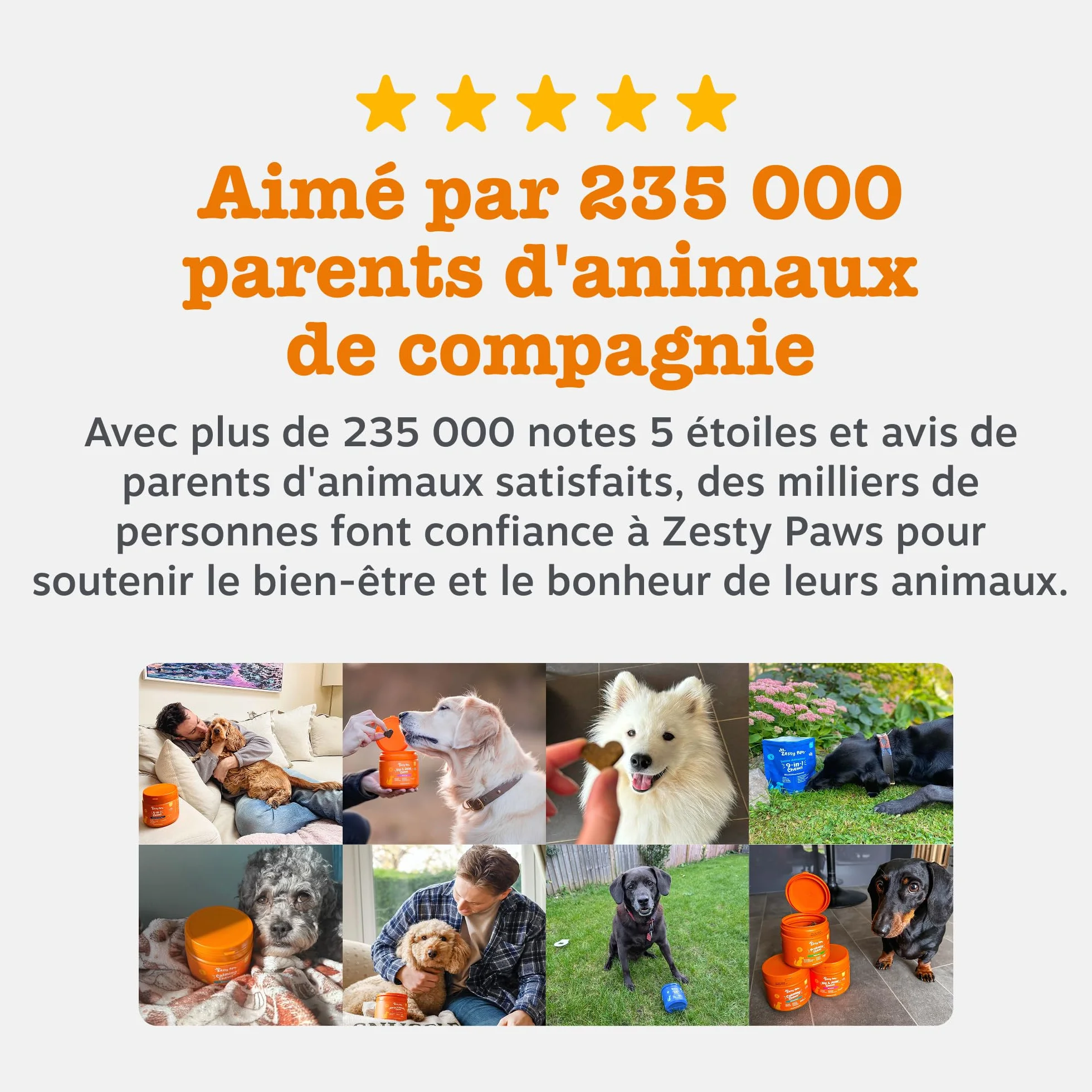Zesty Paws Pâte Anti-Boule de Poils Chats Omega-3 Psyllium Inuline Extrait de Malt 75g