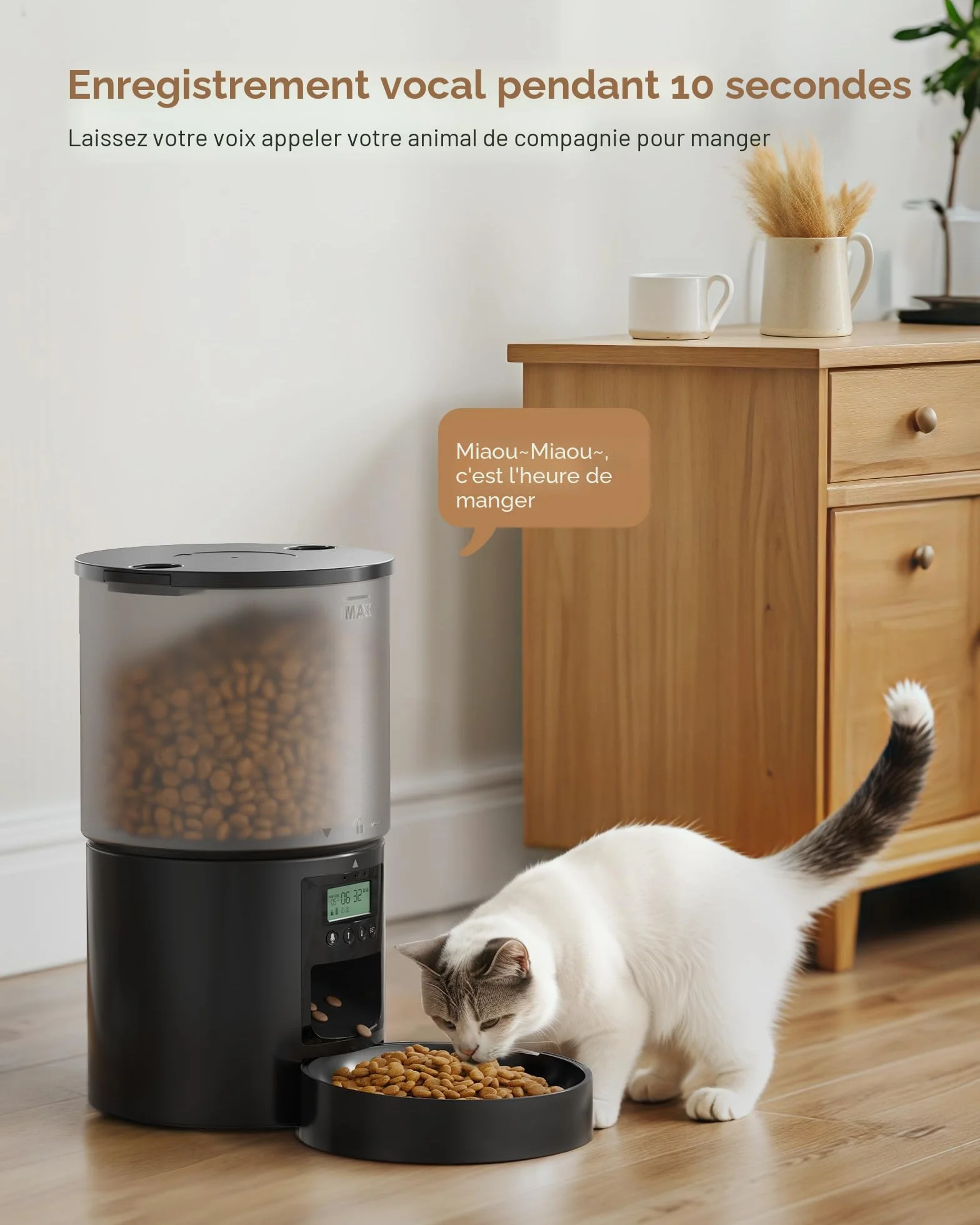 Distributeur Croquettes Chat Automatique avec Minuterie 4L Noir