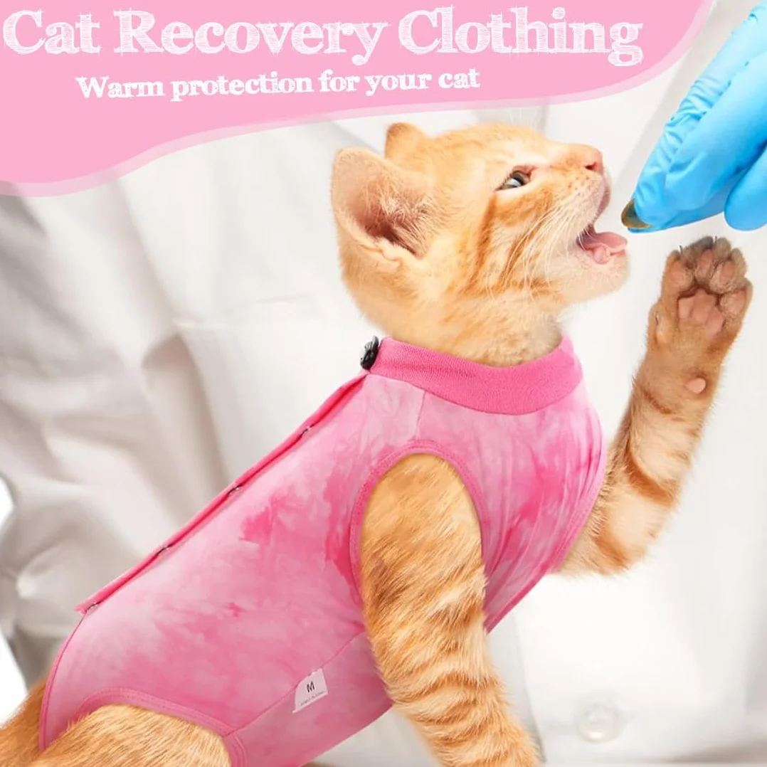 Body pour Chat après Stérilisation Anti Lechage Combinaison Récupération pour Animal 3-5kg